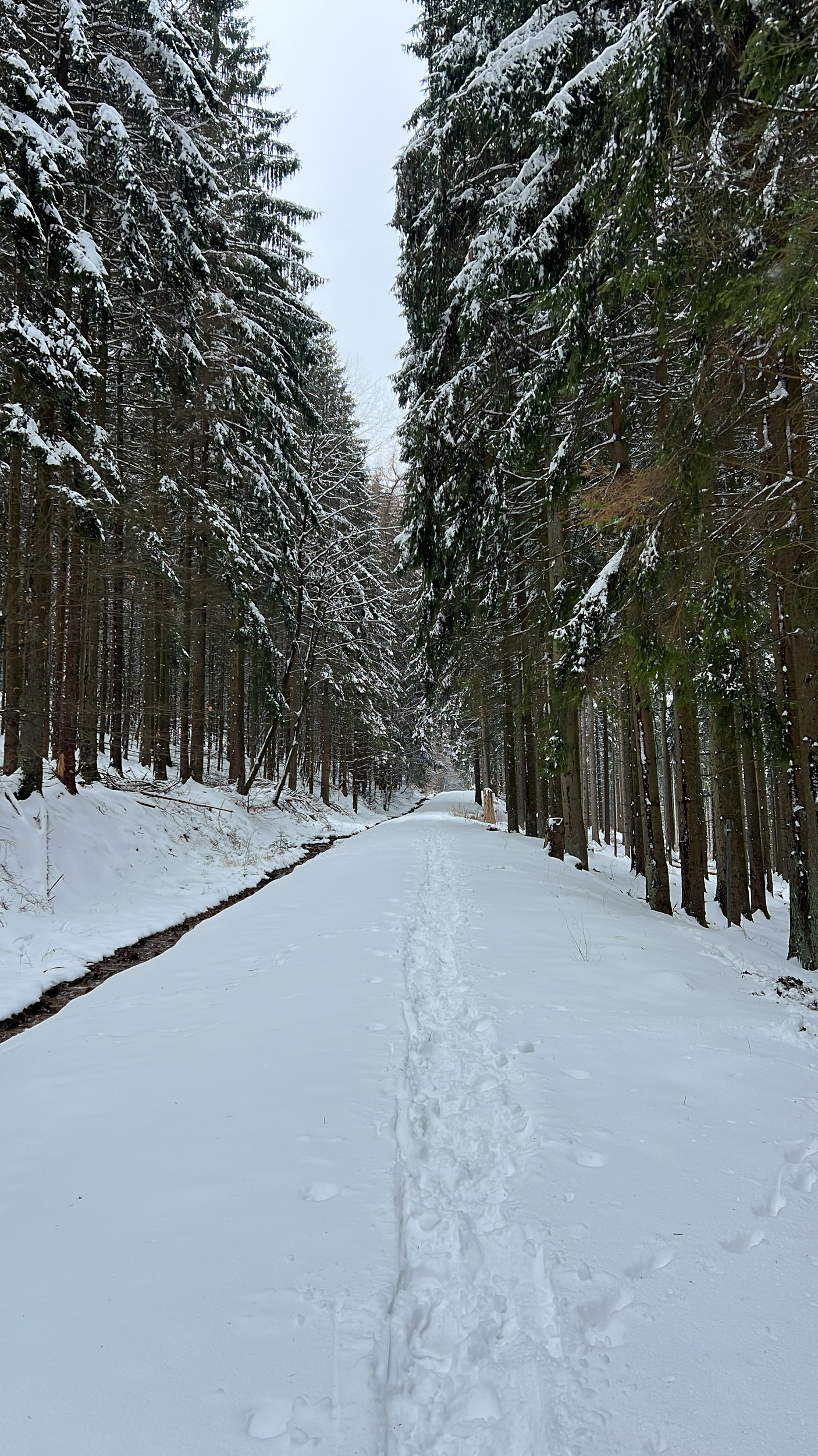 Coping Under Pressure: How Athletes Can Respond to Stress More Effectively