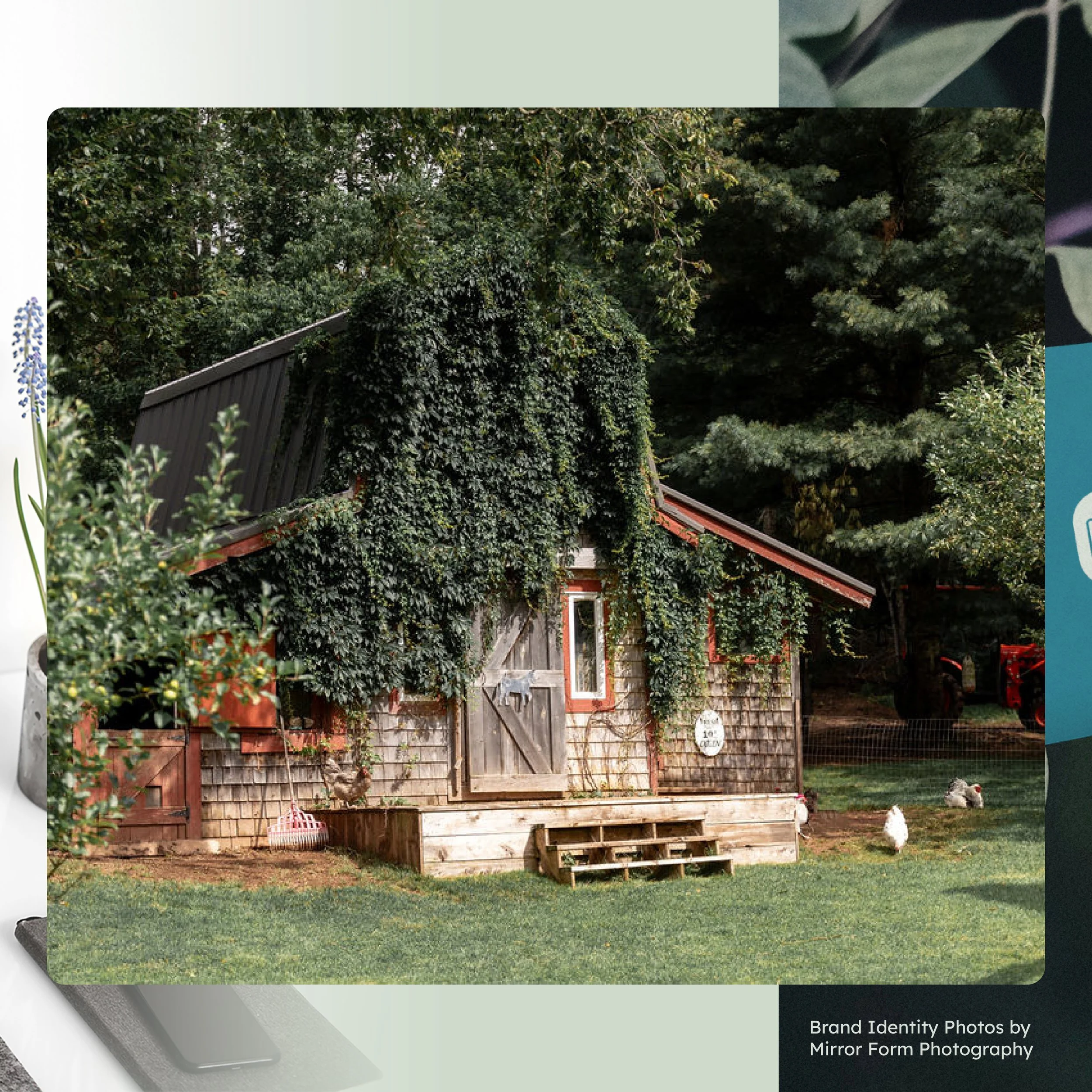 A rustic wooden shed with a sloped metal roof, covered in green vines, situated on a small raised platform with steps. There are trees and bushes around it, and two chickens are seen on the grassy yard. - Hijinks Design Agency