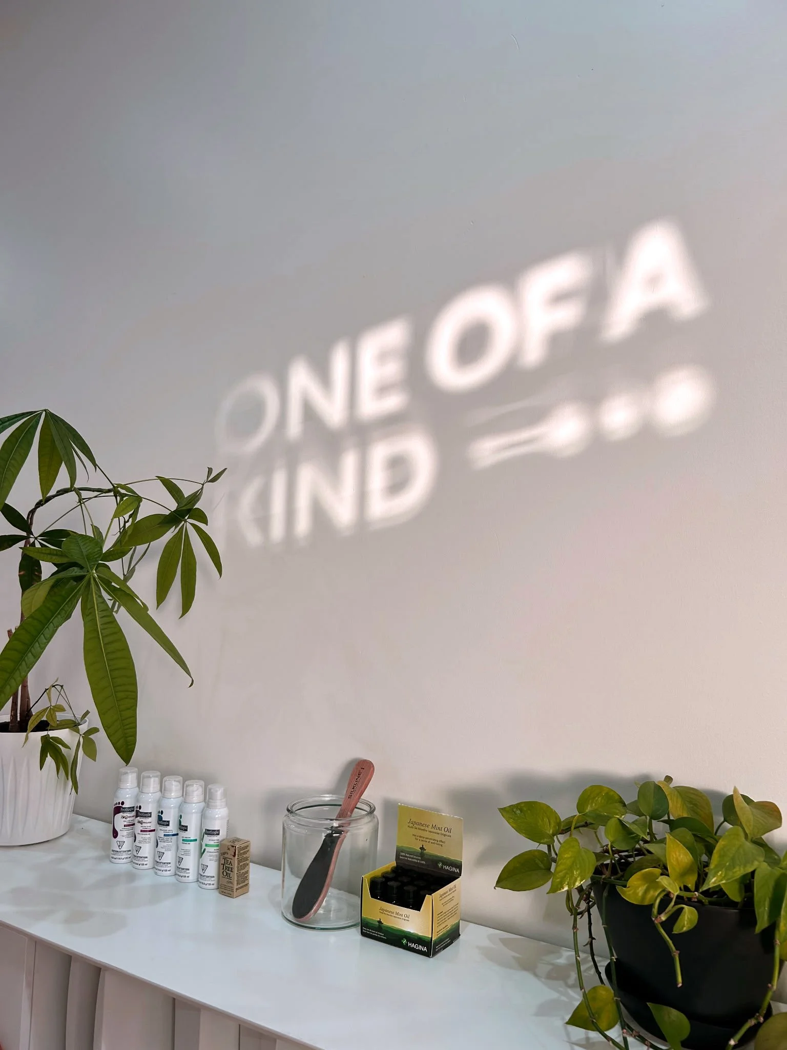 Indoor display with potted plants, skincare or health products, and a reflection of the text "ONE OF A" on the wall.