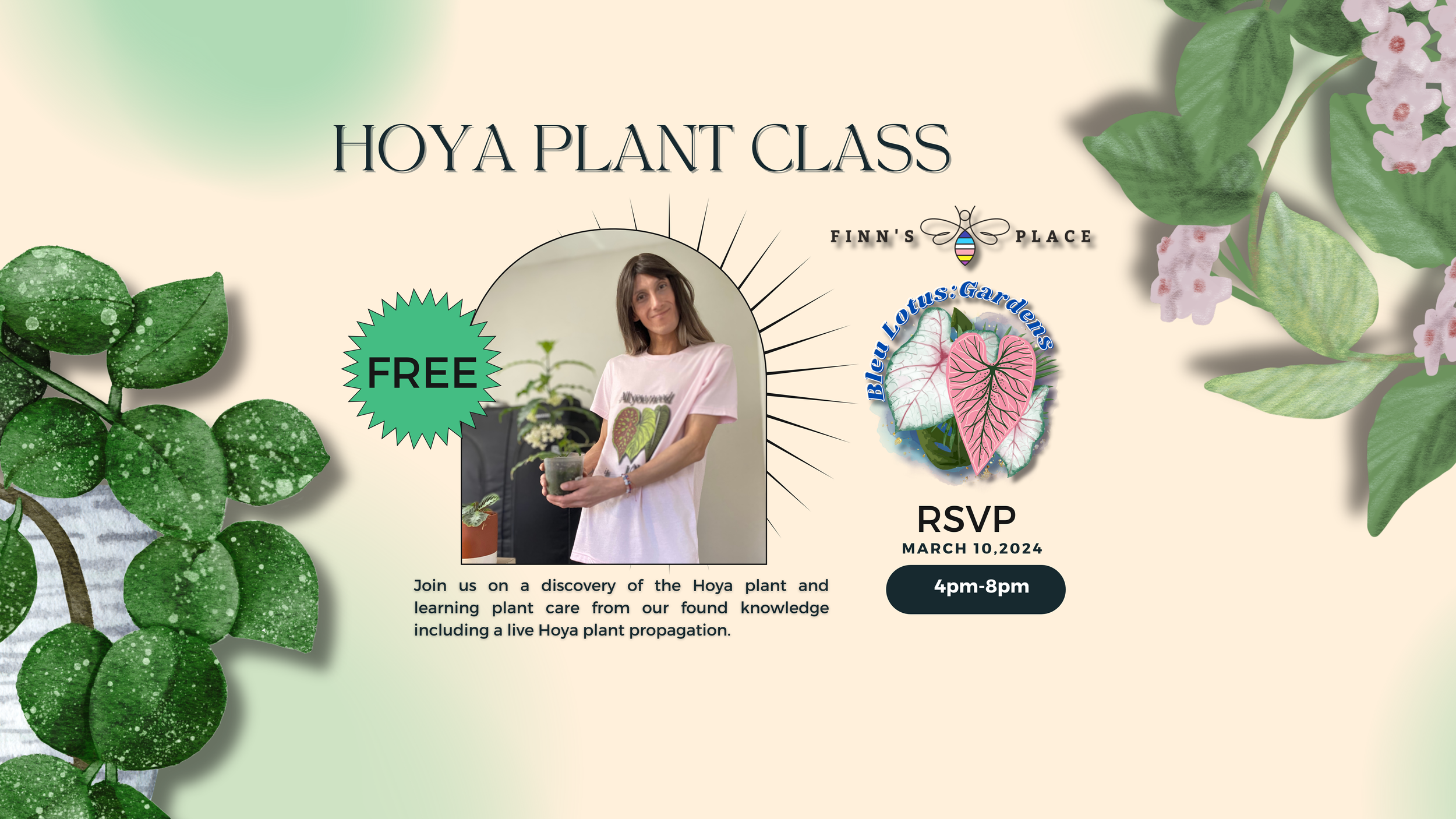 Hoya Plant Class
