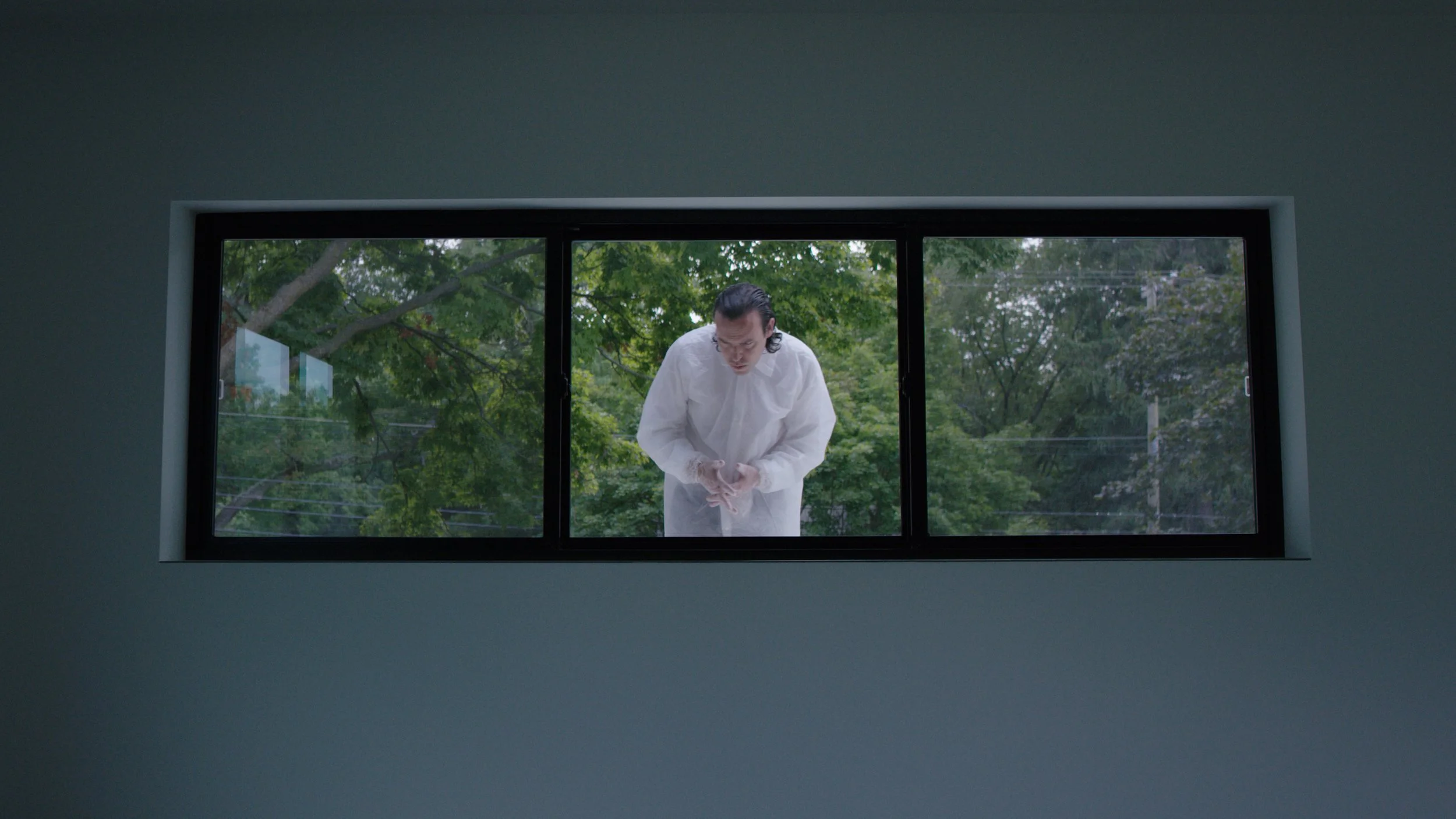 TREV TOCHNIK - HOMELOOKING