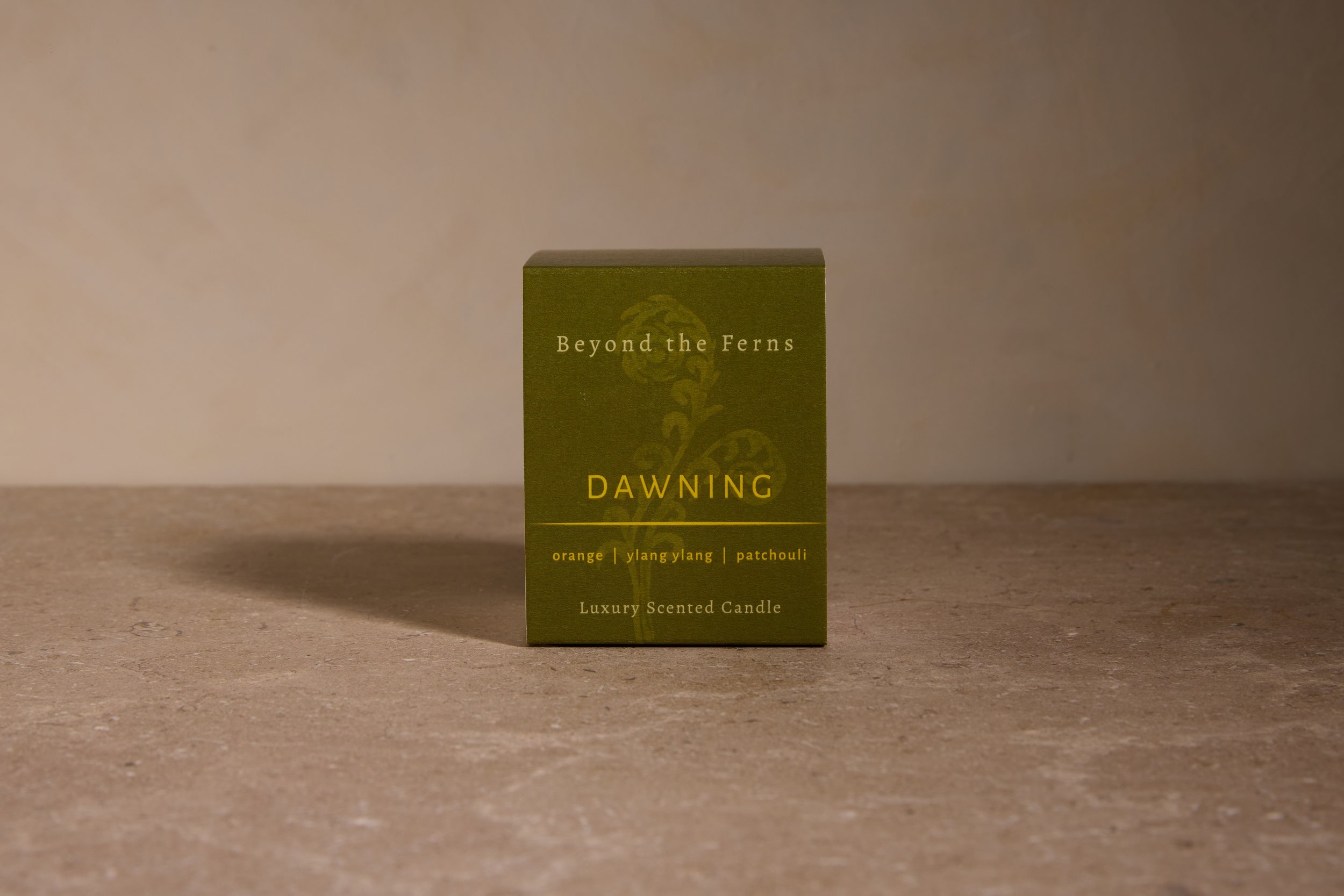 TomScottPhotos_Sept2026_DAWNING_front_beige.jpg