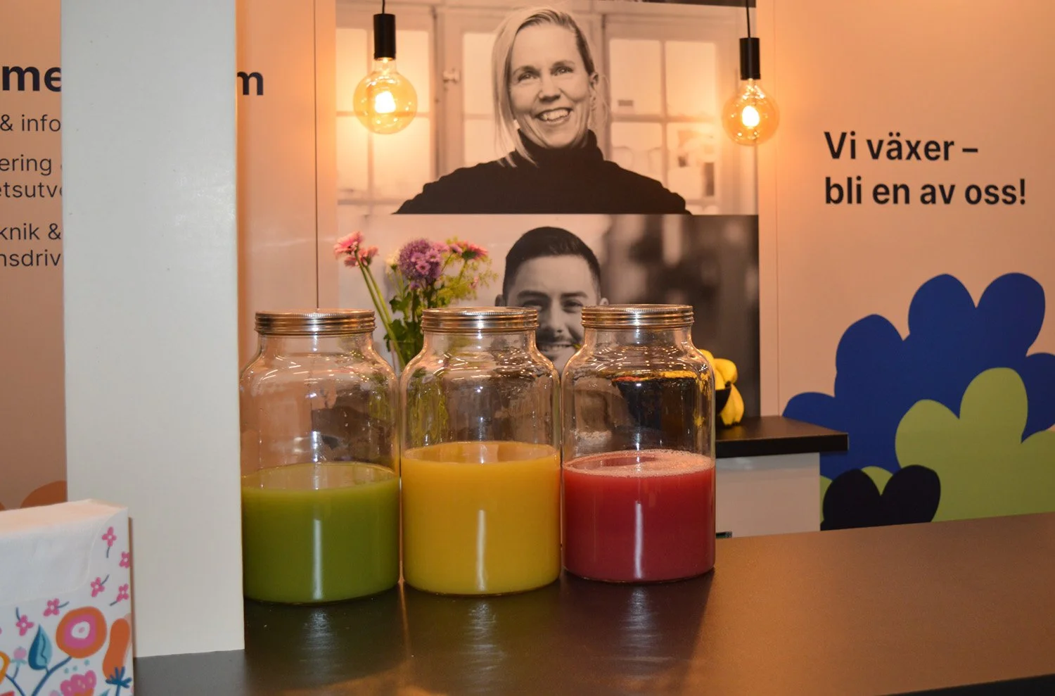 Monter Vitalis Göteborg Bouvet
