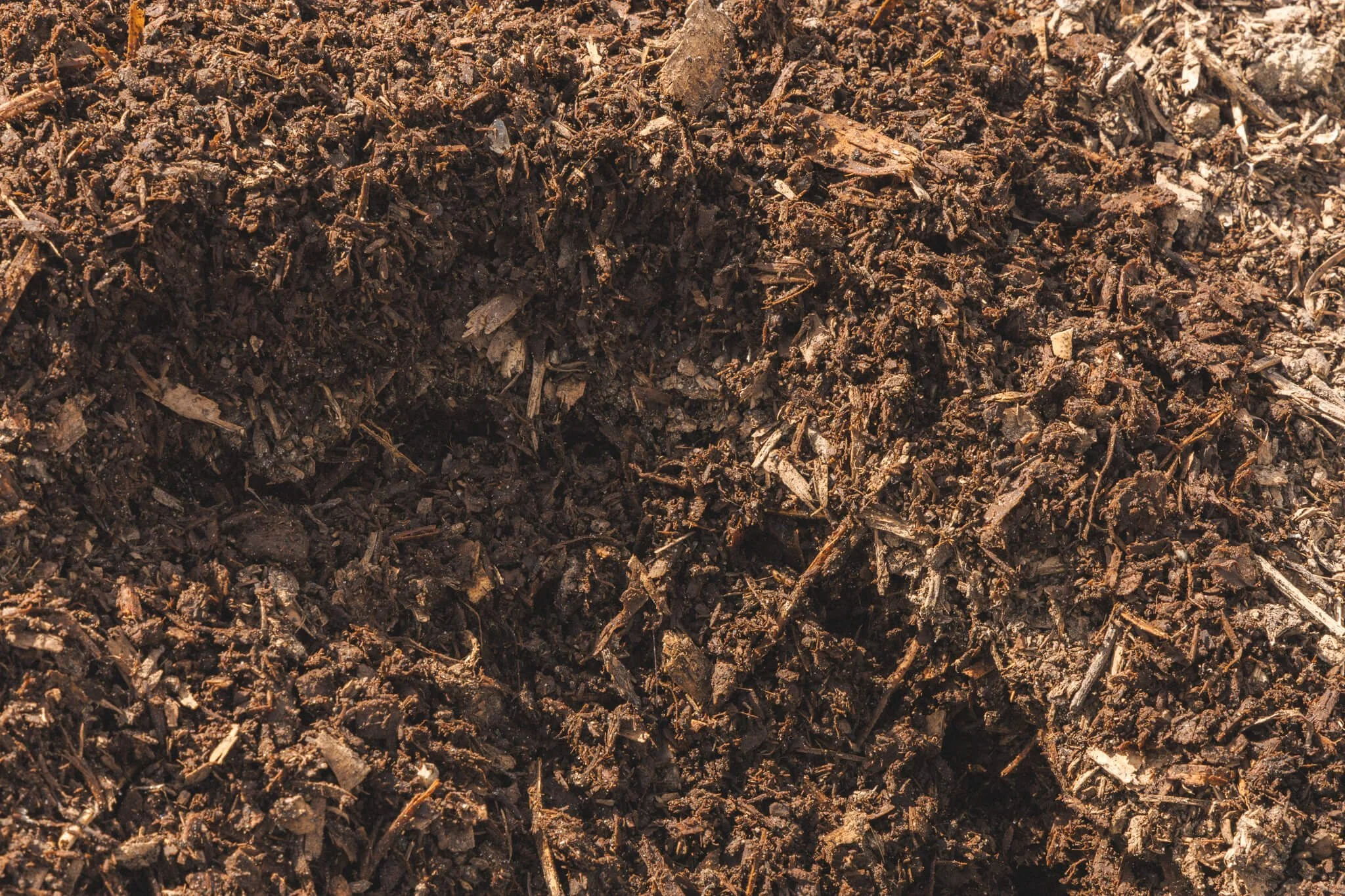 close-up-compost-organic.jpg