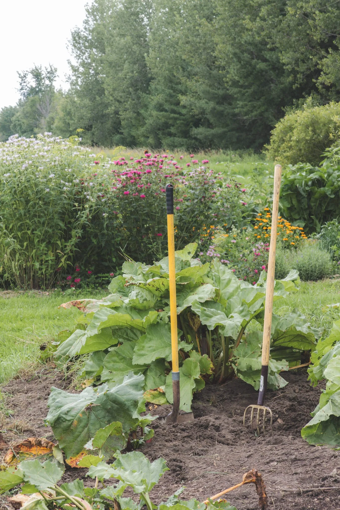 small-farm-tools-in ground-flowers.jpg