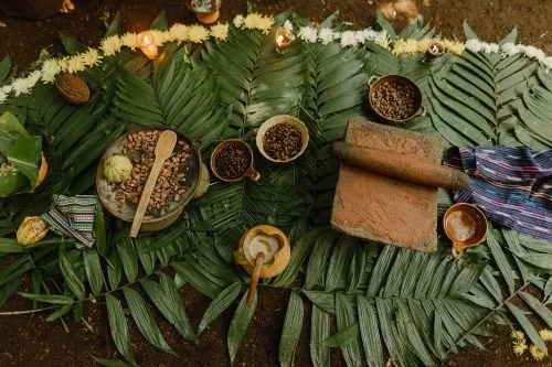 Stationen der Kakao Verarbeitung von der Kakaofrucht bis zur Kakaopaste