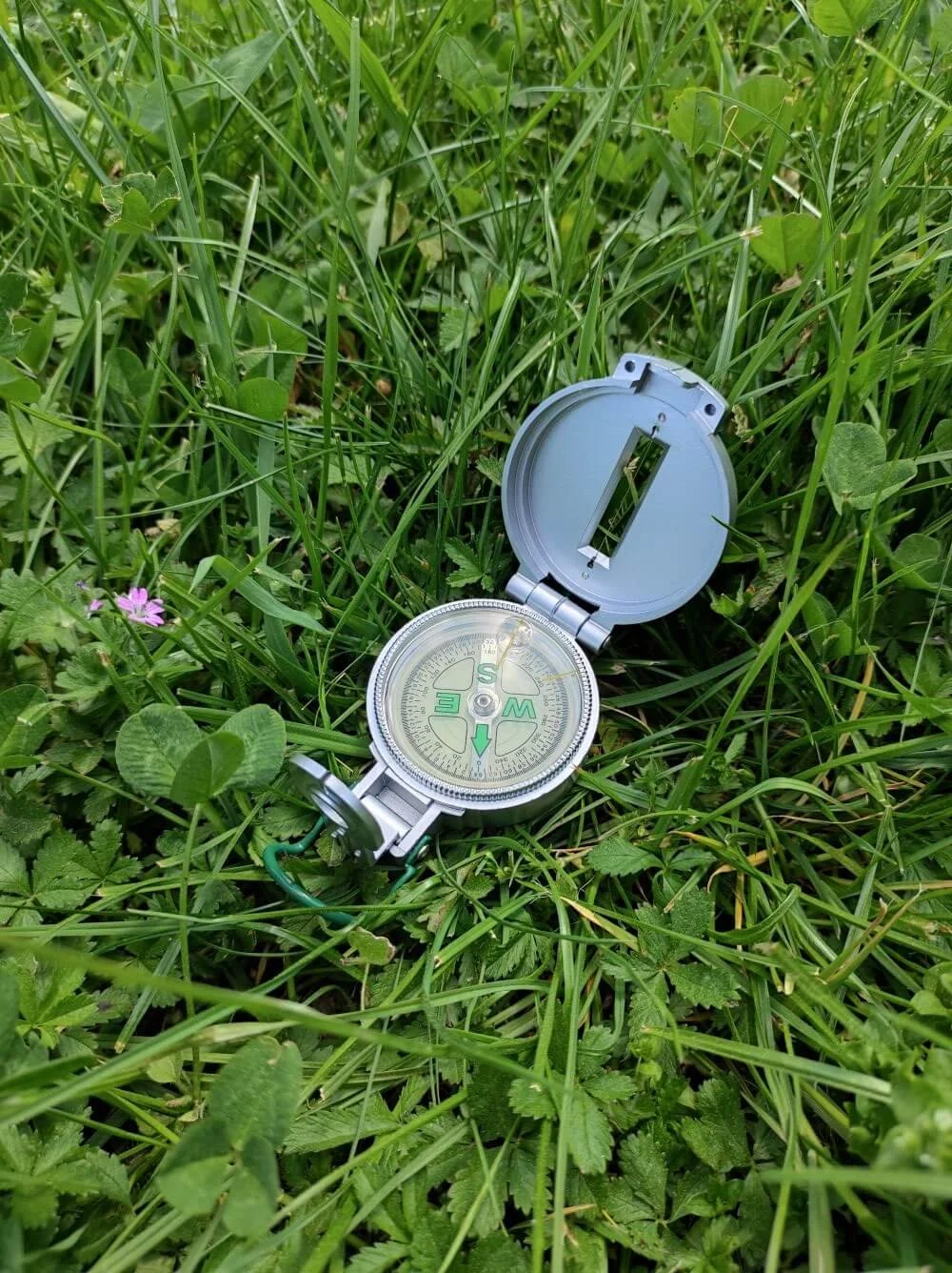 Kompass im Gras als Symbol für Orientierung und persönliche Entwicklung