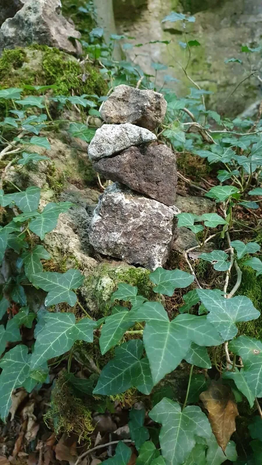 Steinpyramide im Efeu als Symbol für Balance und innere Stabilität