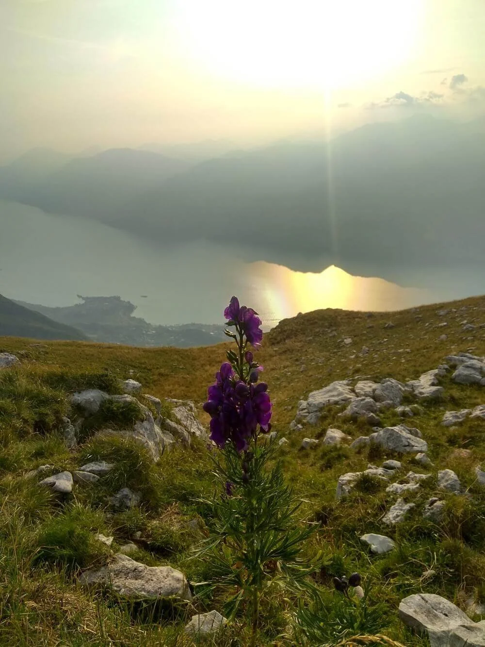 Bergsee in den Alpen als Symbol für inneren Frieden und Coaching für Hochsensibilität