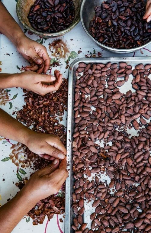 Traditionelle Verarbeitung von Kakaobohnen durch Maya-Bauern