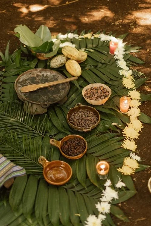 Stationen der Kakao Verarbeitung von der Kakaofrucht bis zur Kakaopaste