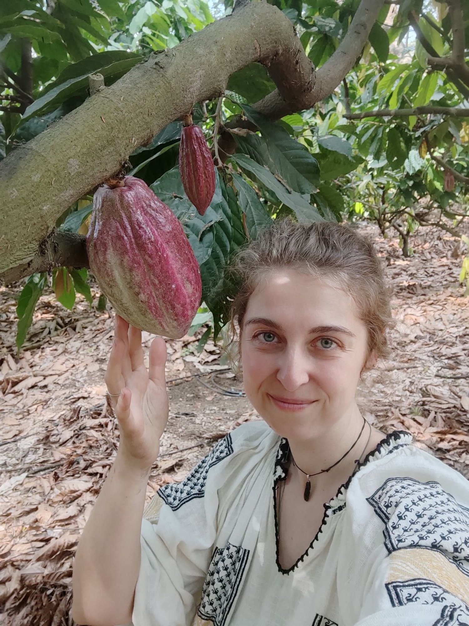 Cacao-Guardian-zeremonieller-Kakao-Verkauf-Berlin-Coaching-Hochsensibel-Ganzheitlich-Spirit-ThetaHealing-Cacao-Farm3.jpg