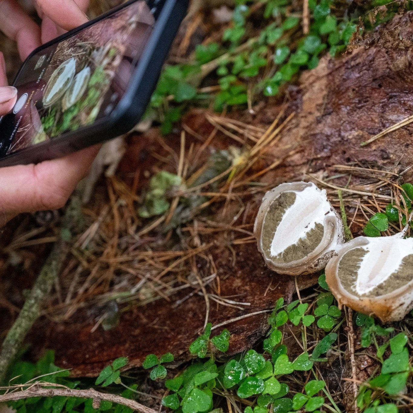 Phone Photography Course: 29th October 2025. Wanting to get better photos from the camera that you are always carrying around? Working with local photographer Chris Woodcock we are launching the first of our phone photography day courses. Across the 