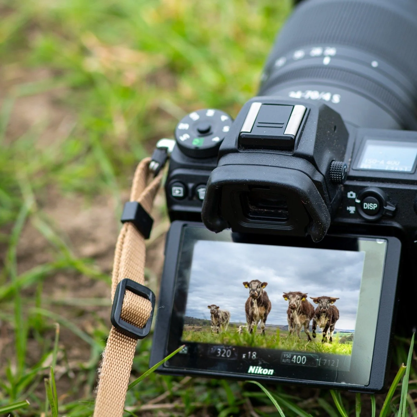 Get your camera off of Auto mode! We're really pleased to be working with Chris at @chrissy_whiteoakphotos again for this day course, all focused on getting your camera off of auto mode and getting yourself more comfortable with all the various setti