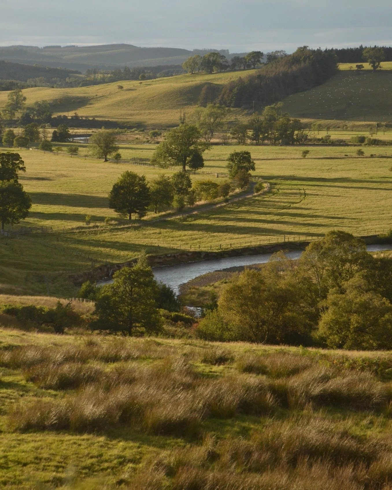 Autumnal evening night along the River Coquet at Hepple 🌄