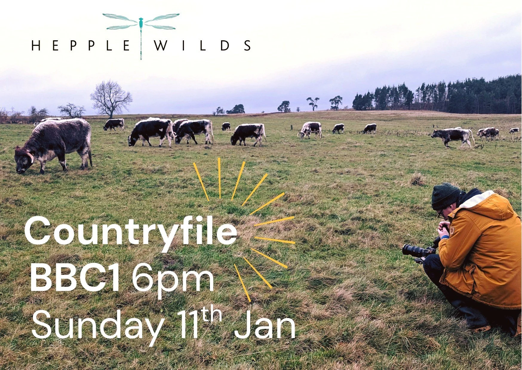 BBC1 Tonight!! Very excited to share with you that we will be on BBC1 tonight as part of this week's Countryfile episode. We had such a great time with the team on the estate and we're excited for you to see what we got up to. Make sure to tune in 6p