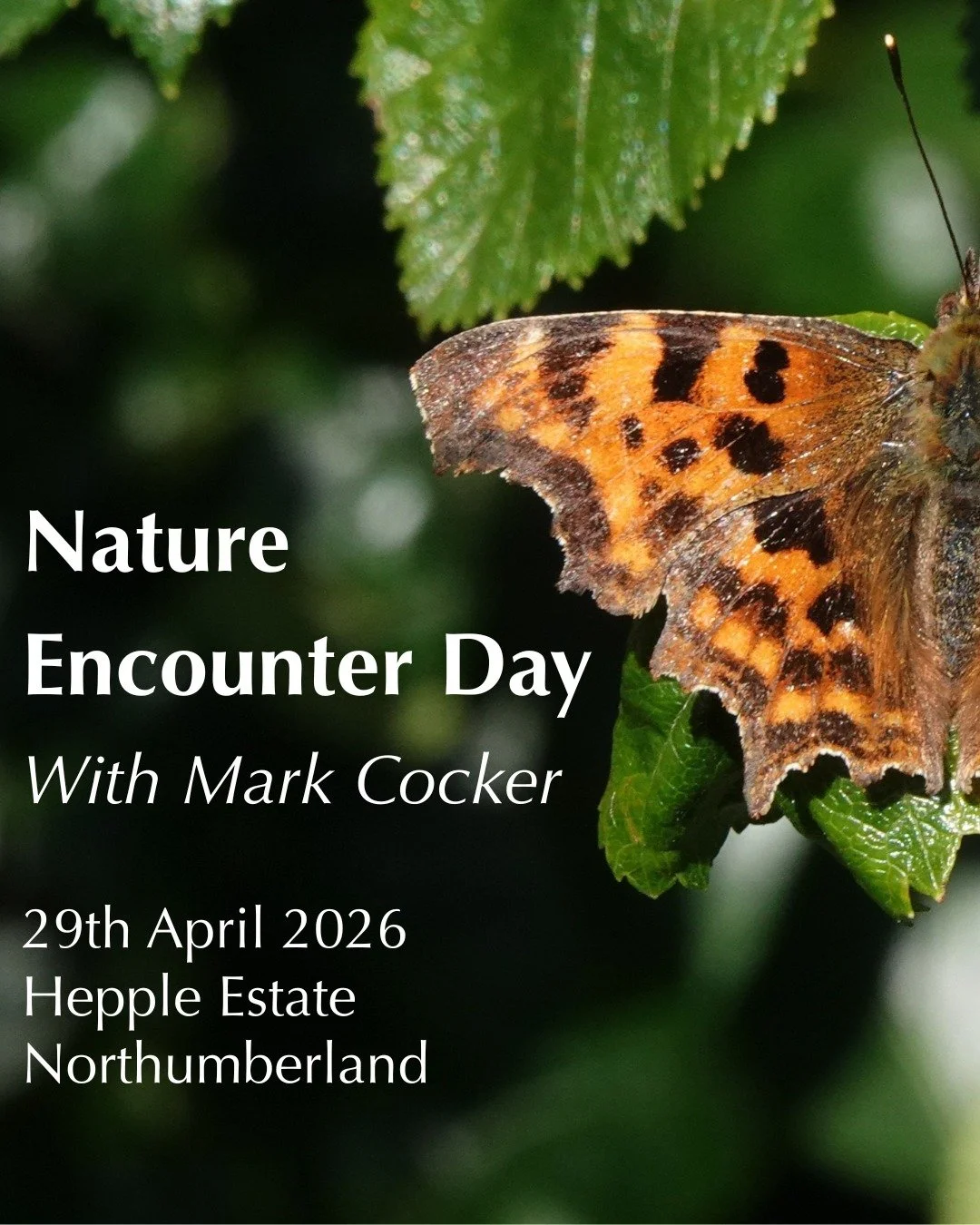 SO excited to announce that we are hosting two events with the one and only @markcocker_author ! The first is a new creation: an in-depth day of noticing nature and exploring why it's so important to us. Running on 29th April 2026 with limited ticket