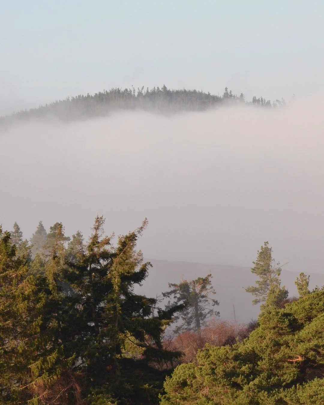 Some nicer  early spring days recently with some epic fog clouds swirling up and across the hills here at Hepple 🌅