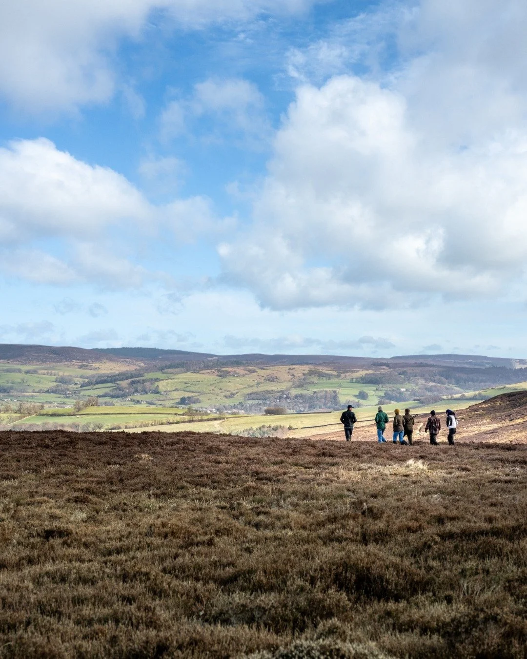 Some of the best views in Northumberland! The Hepple estate climbs to 440m in height which gives us some dramatic views across the Coquet valley and the Cheviot hills beyond