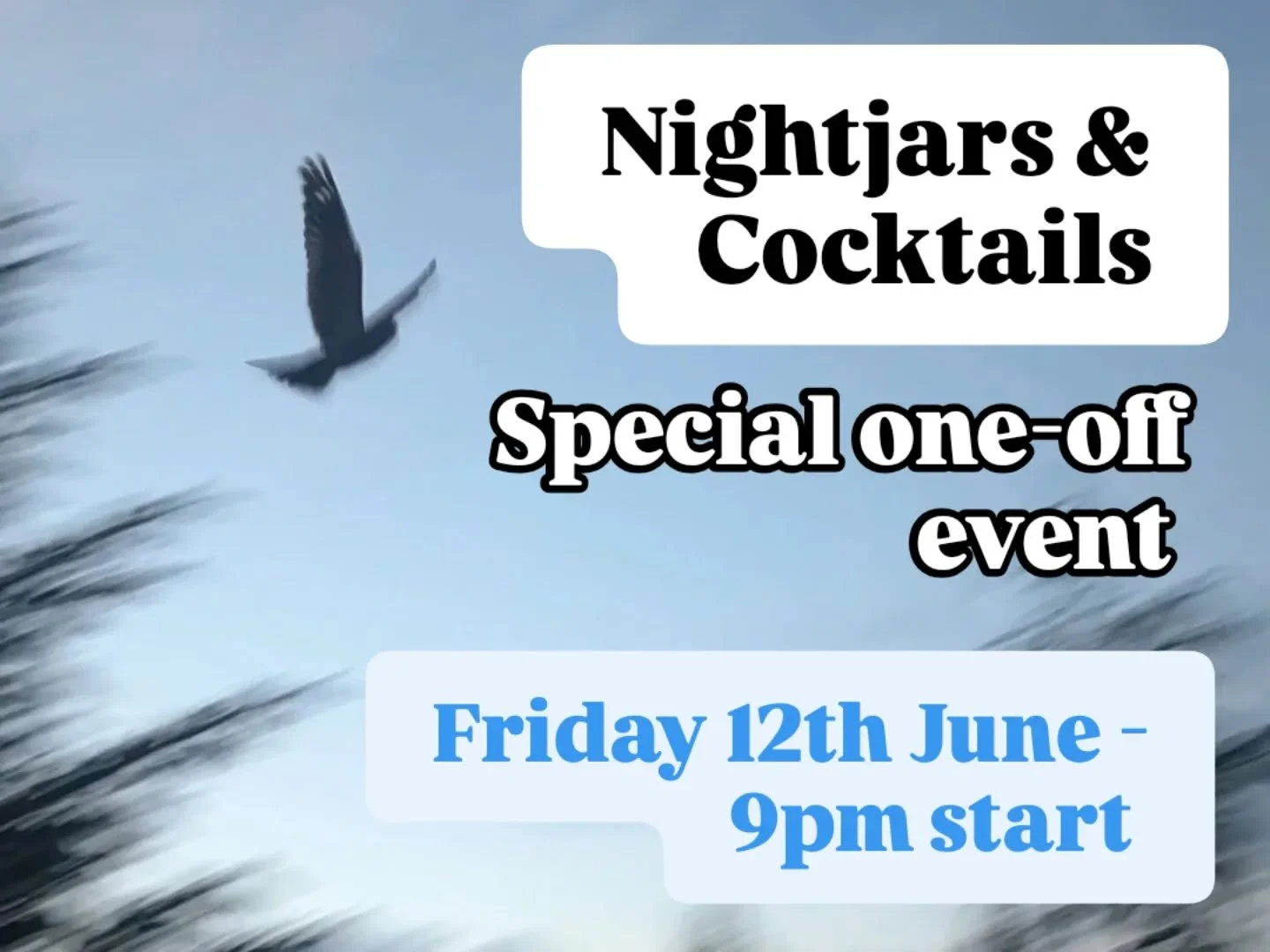 Join us this Friday for a special one-off nightjar event. Enjoy a special @hepple_spirits cocktail before heading out with our ecologist Richard to listen for and maybe even see the rare and elusive nightjar, right here at Hepple 🌛 last remaining ti