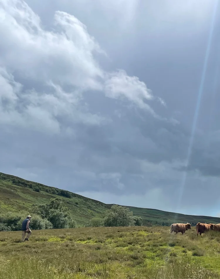 Lucy Riddell General 3 — Hepple Wilds