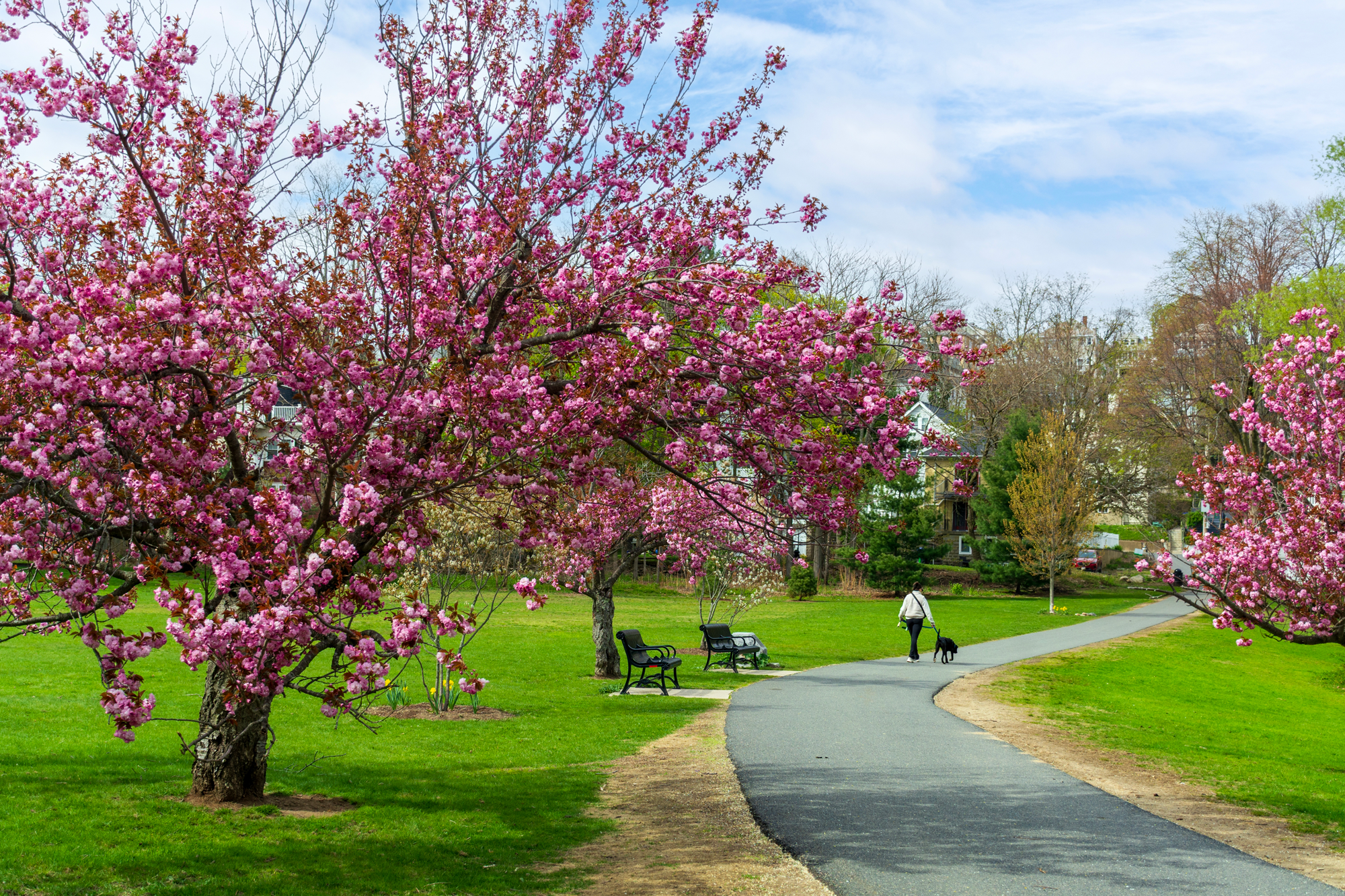 Revere Opens Three New Parks Built by and For Its Own Residents