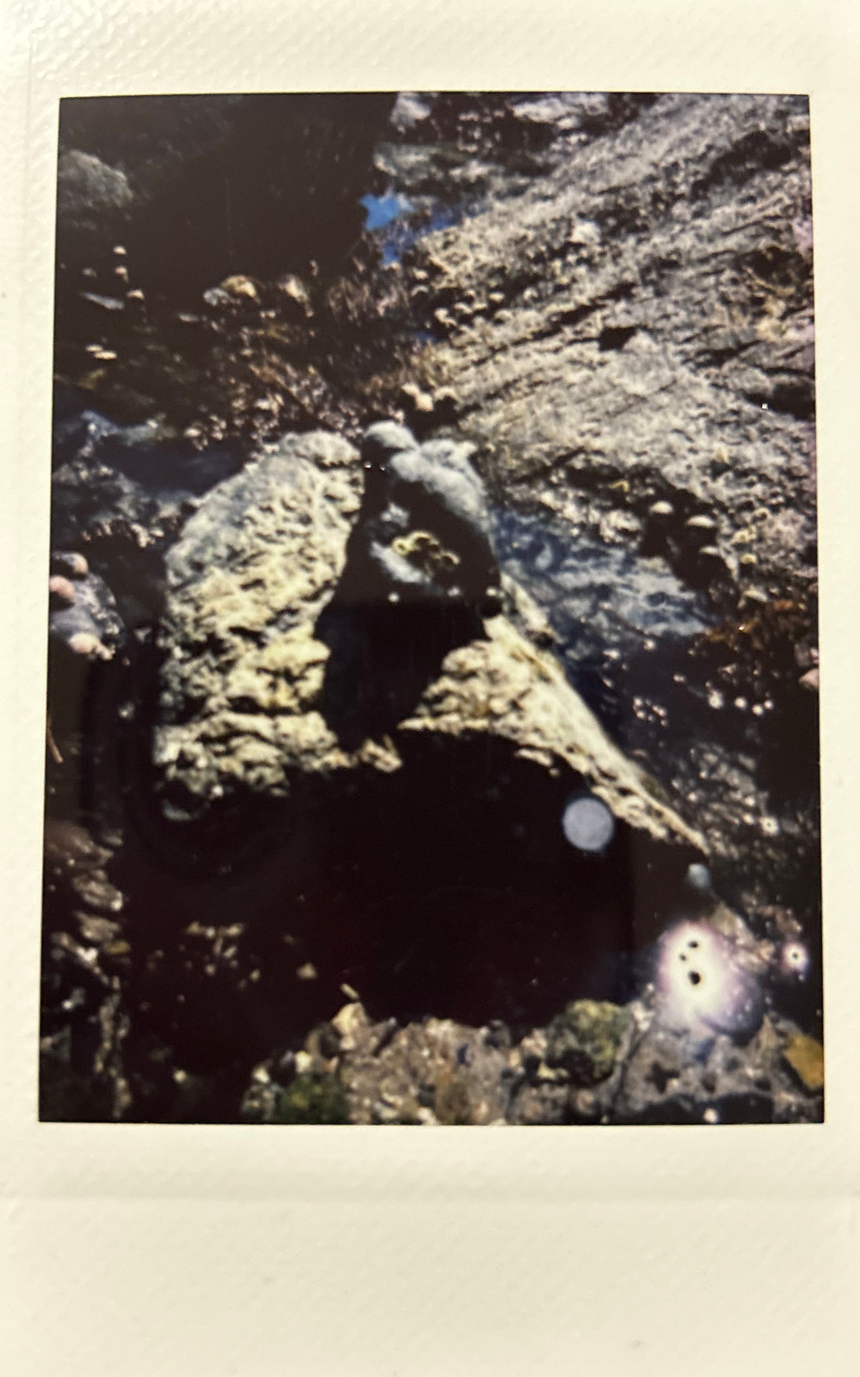 IMG_1254.png