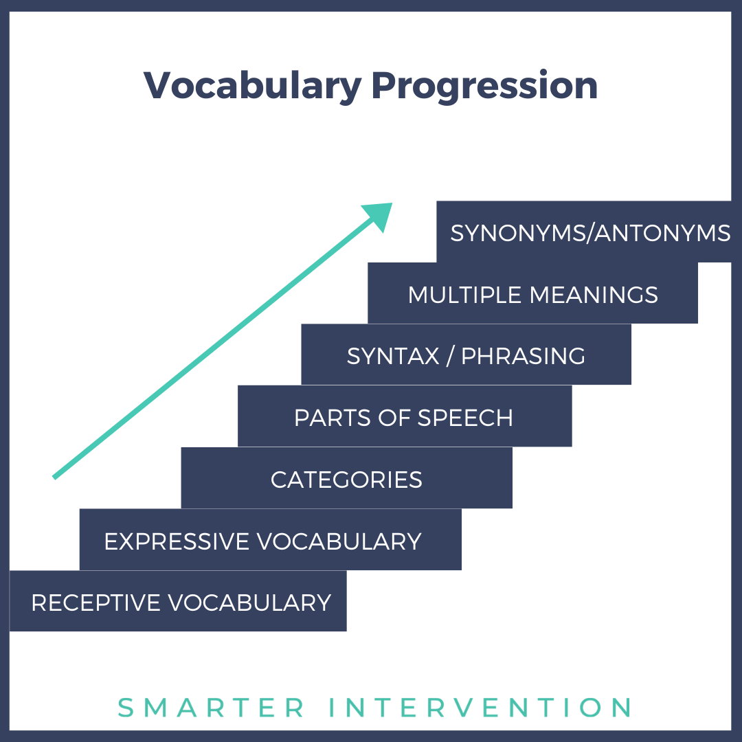 Vocabulary Skill Progression.png