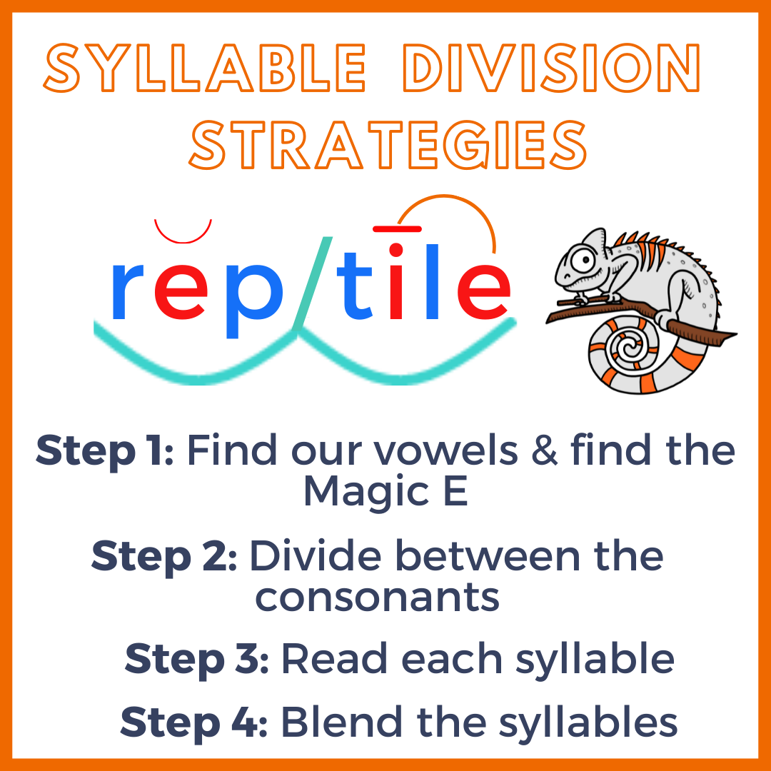 Reptile Syllable Division Anchor Chart.png