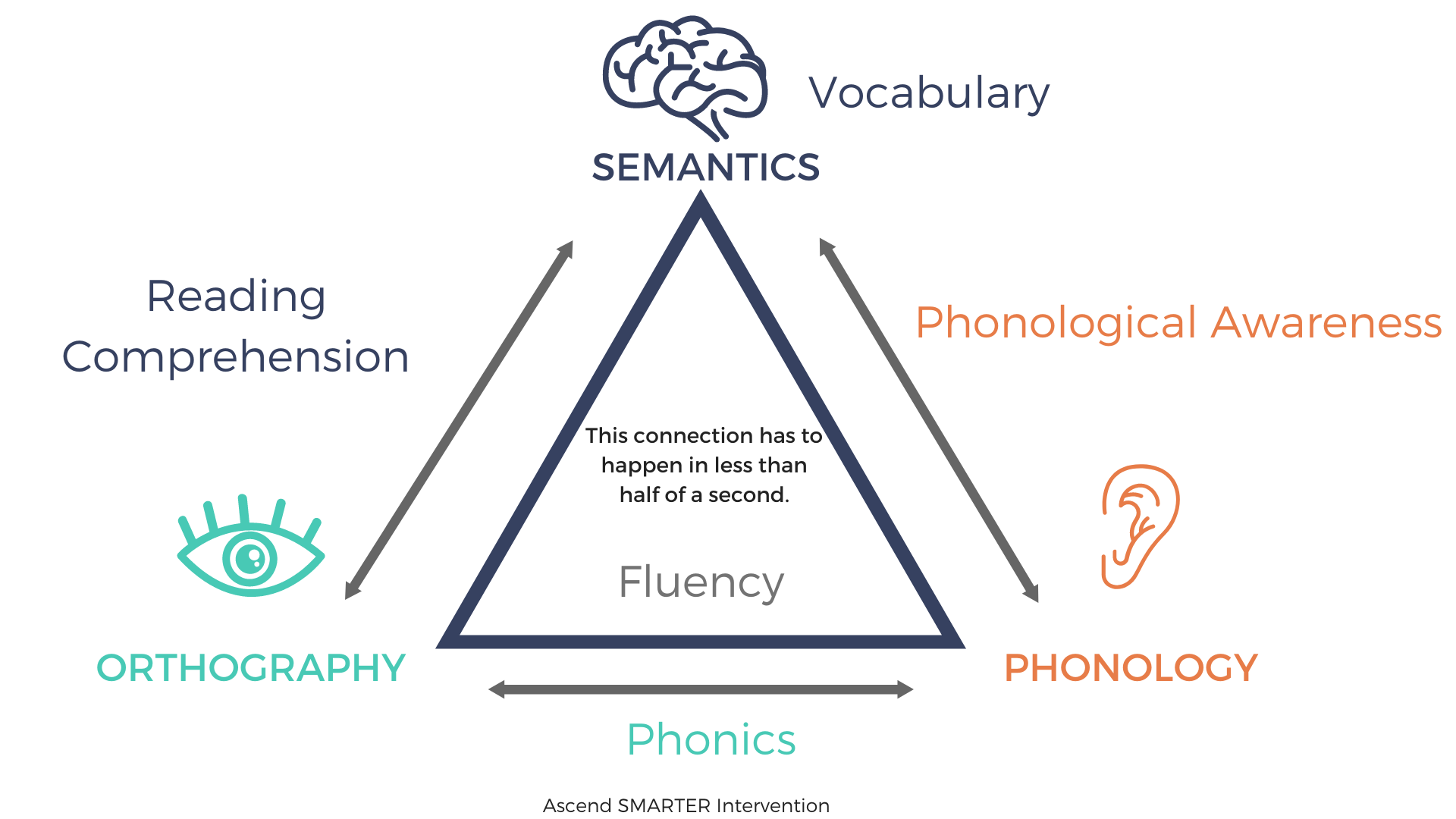 Which Assessments Should be Used to Diagnose Dyslexia — Ascend Smarter Intervention