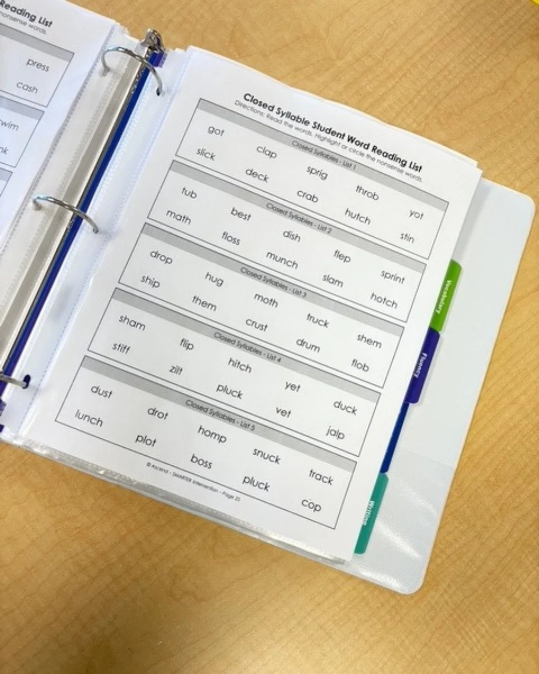 Progress monitoring shouldn't be difficult. That's why we've put together a progress monitoring toolkit that provides data collection probes for...⁠
⁠
➡️ Phonological Awareness⁠
➡️ Sound Symbol Knowledge ⁠
➡️ Word Reading⁠
➡️ Vocabulary ⁠
➡️ Reading 