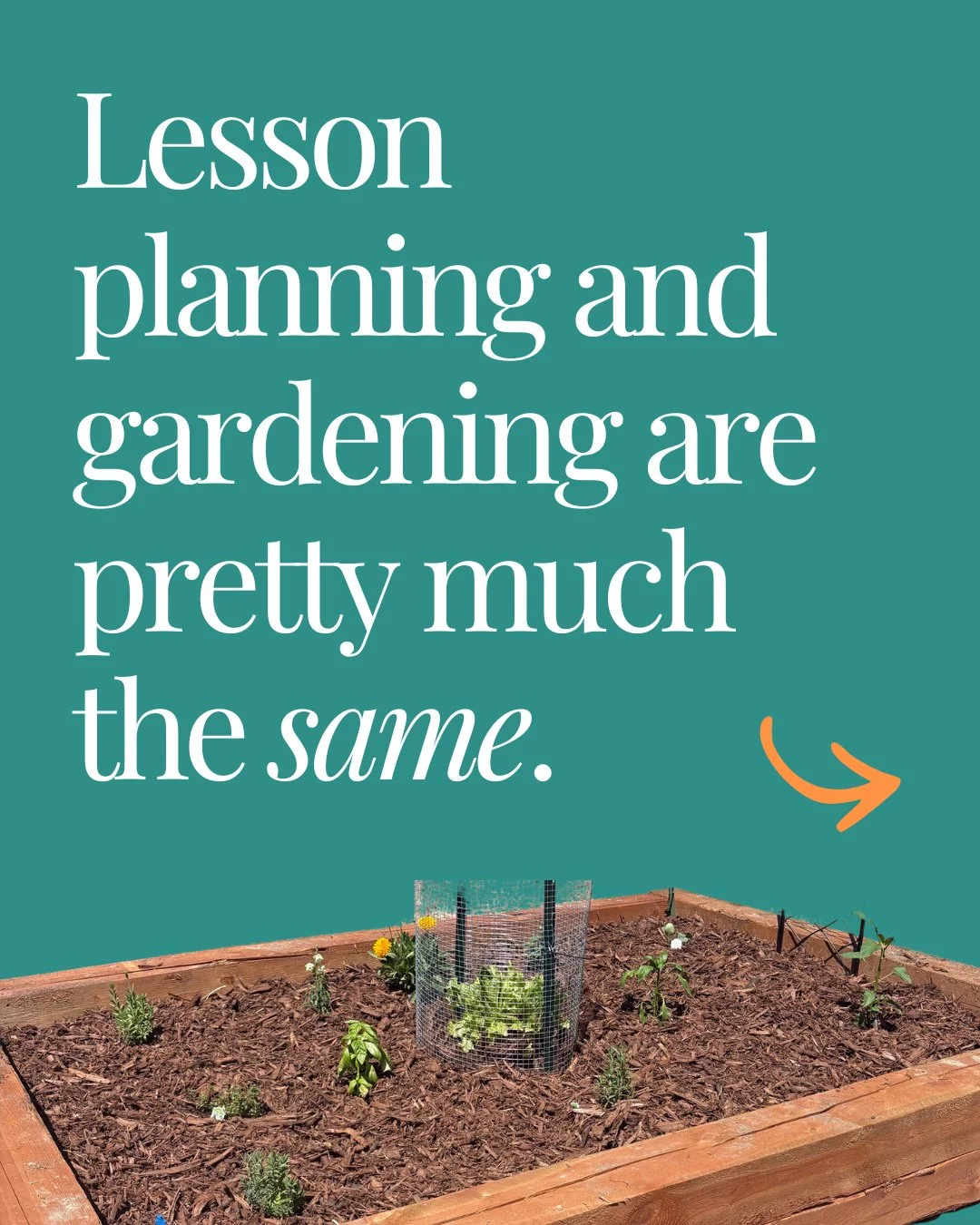 This past weekend, I was planting my garden, and as I was working, I realized how much it reminded me of teaching and literacy lesson planning.⁠
⁠
You spend all this time planning it out. What are you going to plant? Where should each plant go? When 