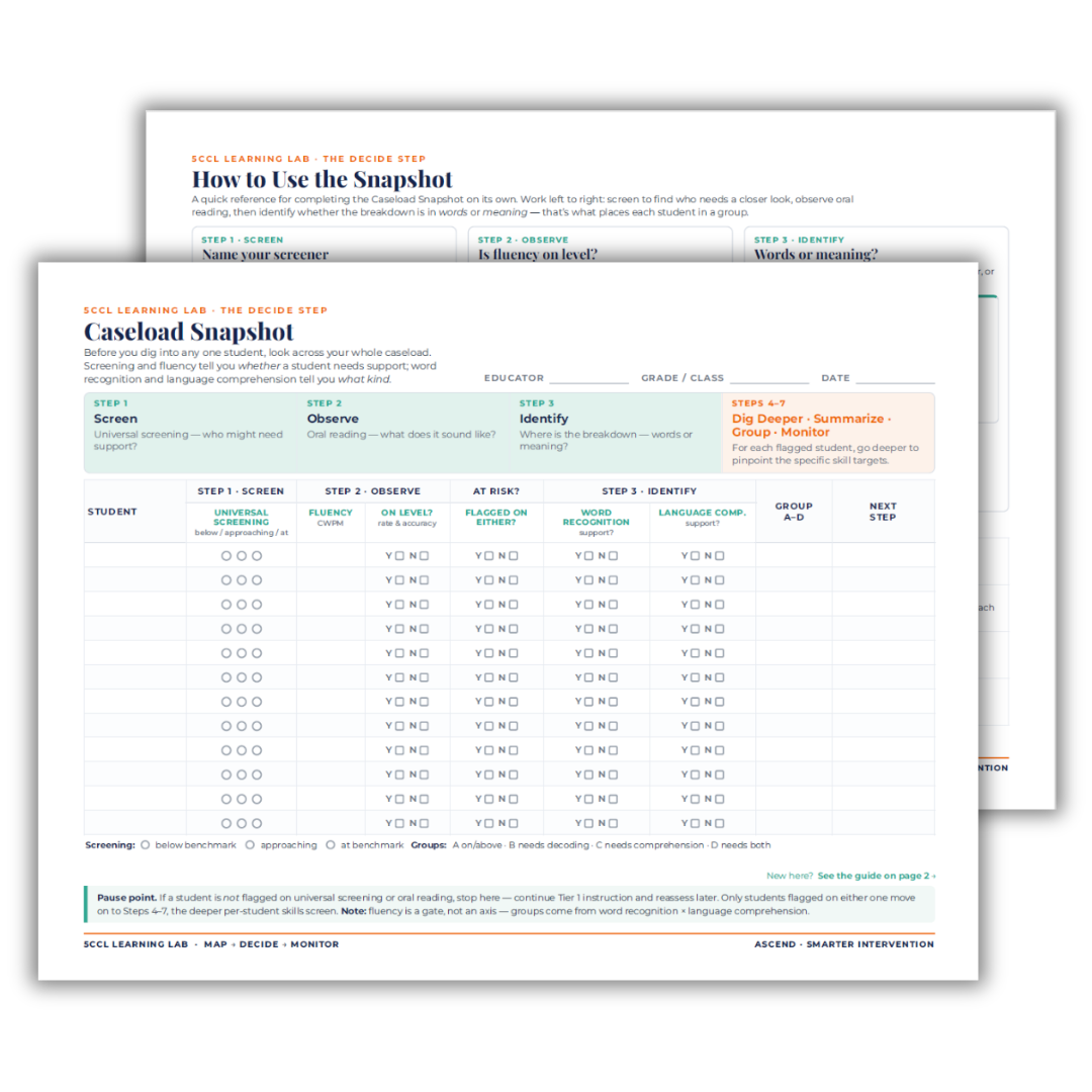 Caseload Snapshot