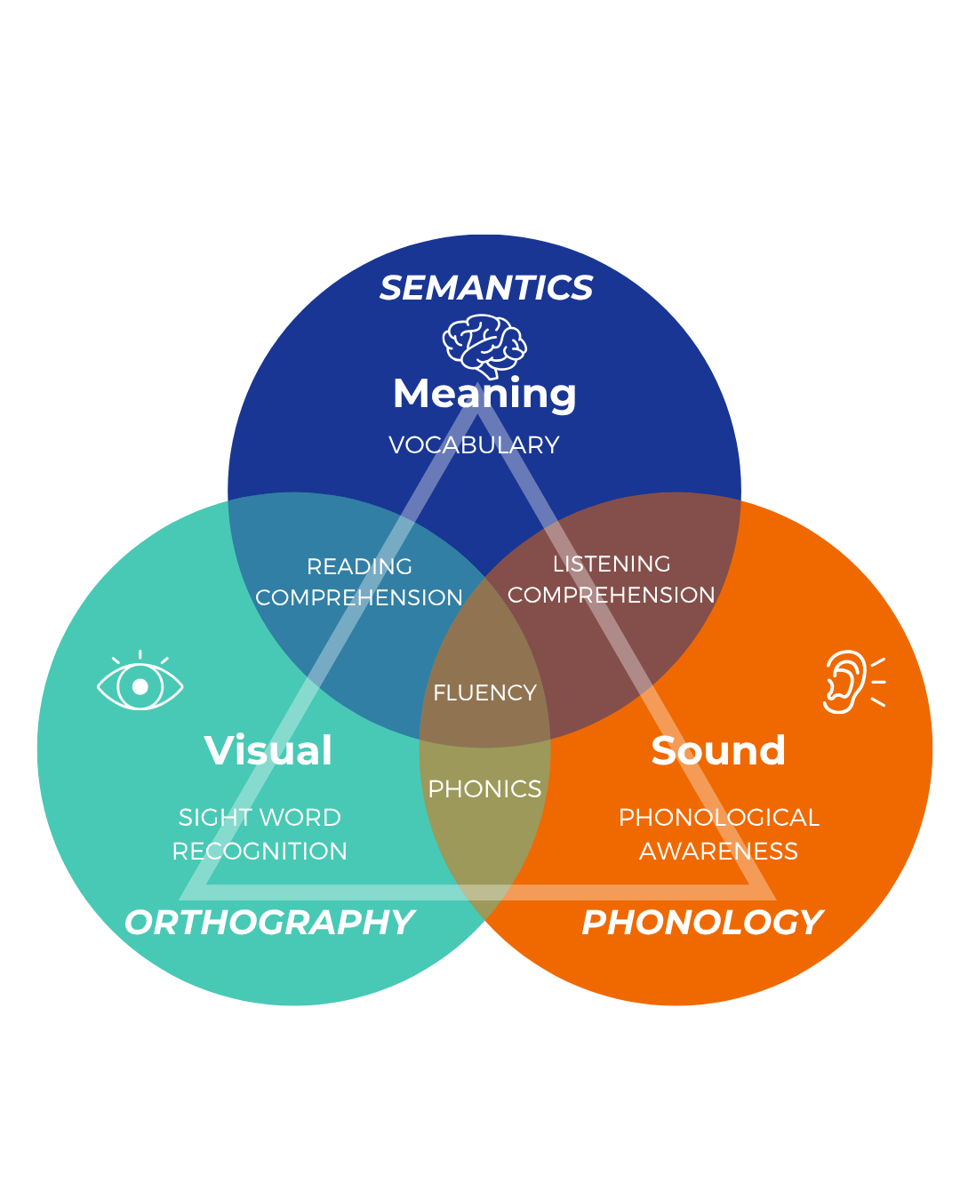 Structured Literacy Skills