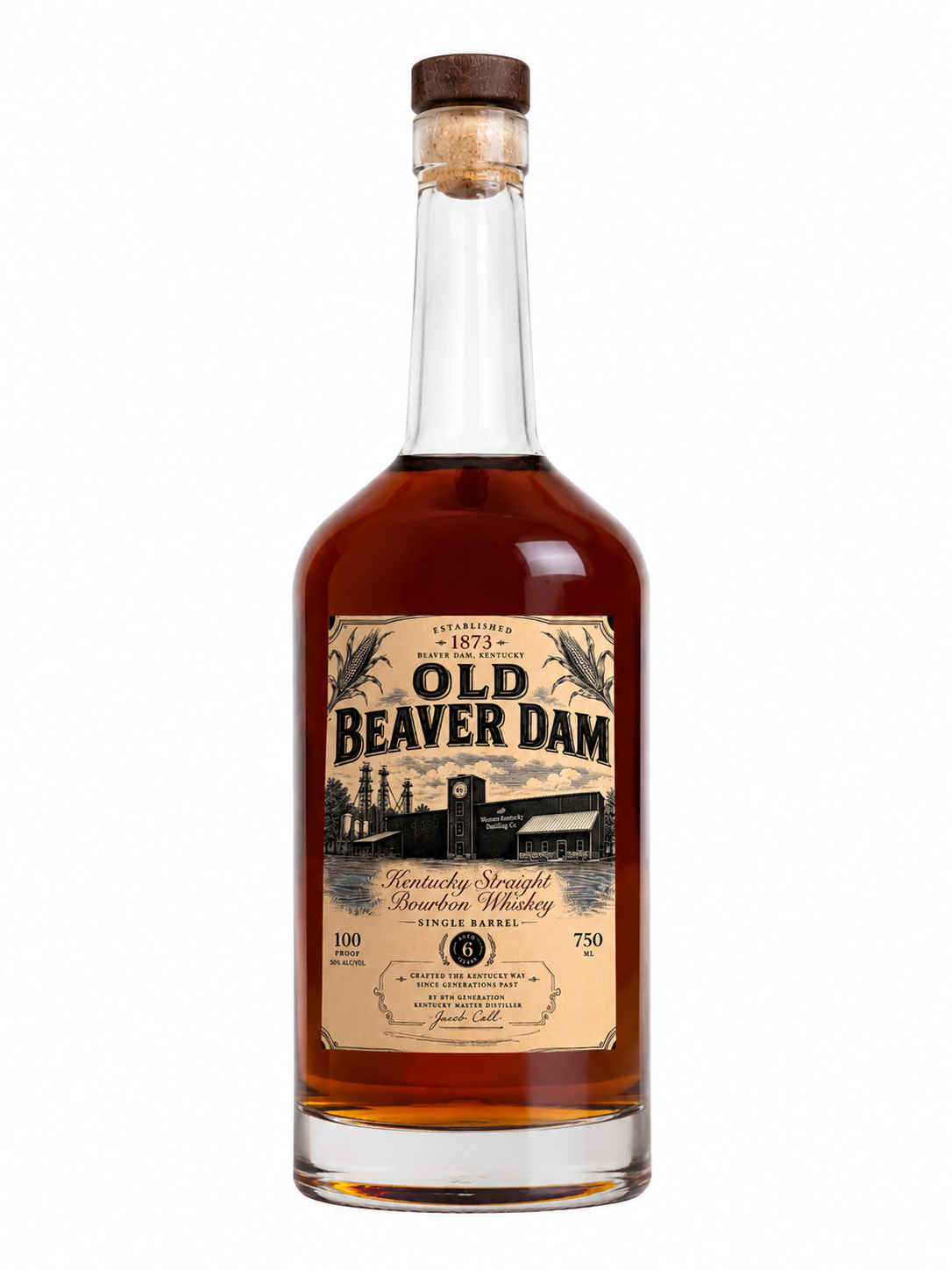 Old Beaver Dam - website photo.png