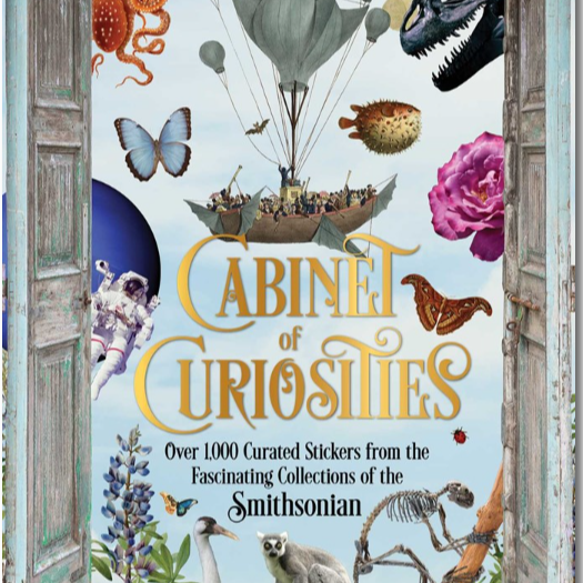 The Cabinet of Curiosities