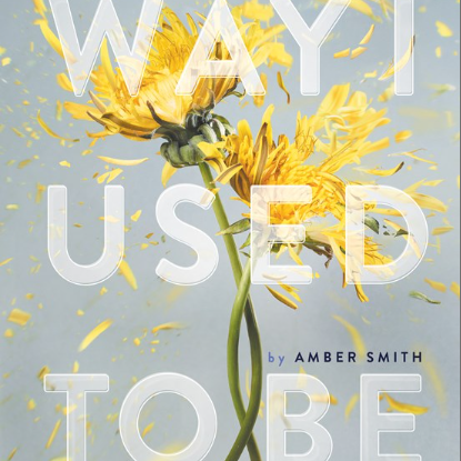 The Way I Used to Be