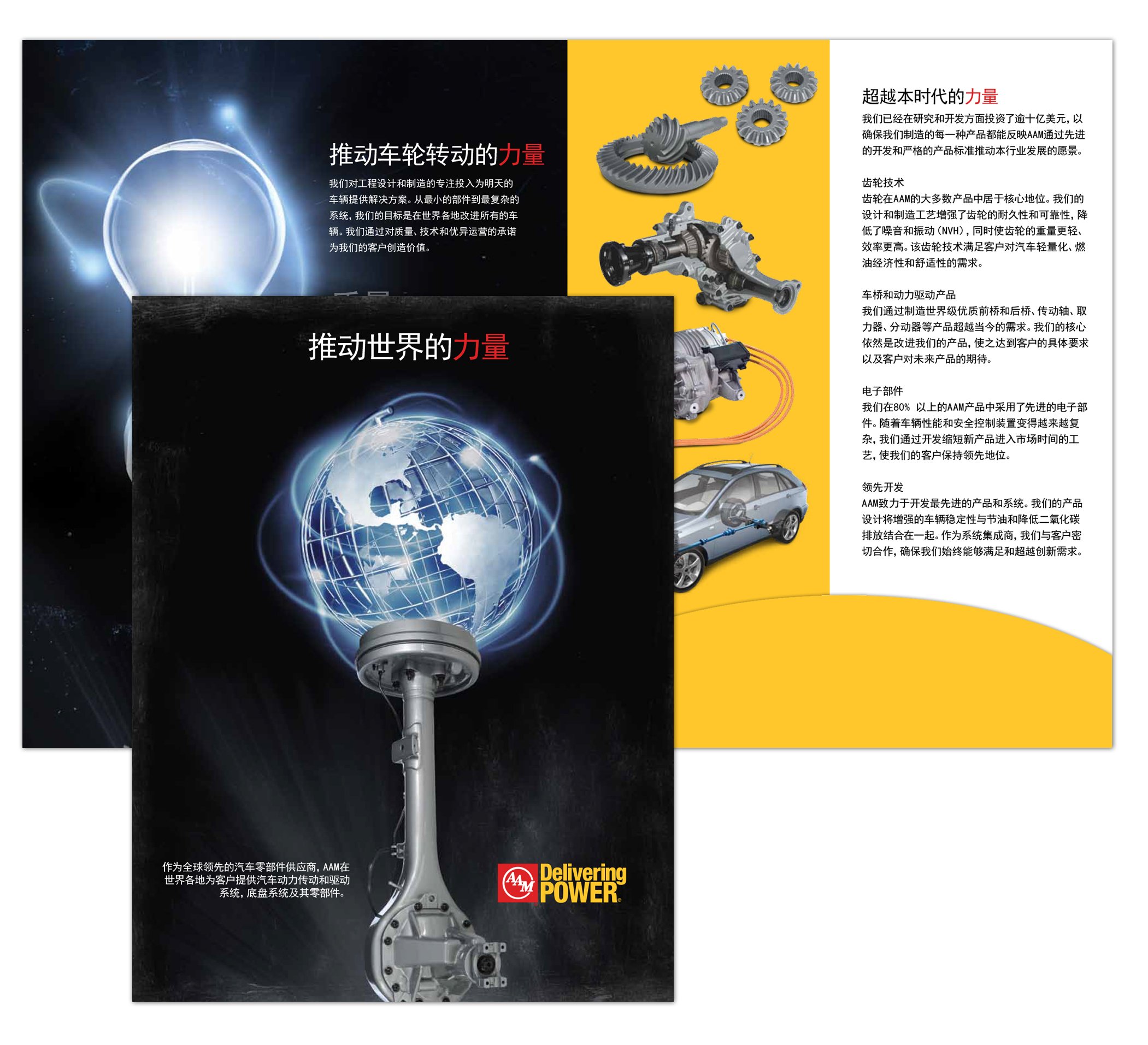 aam-chinese-brochure.jpg