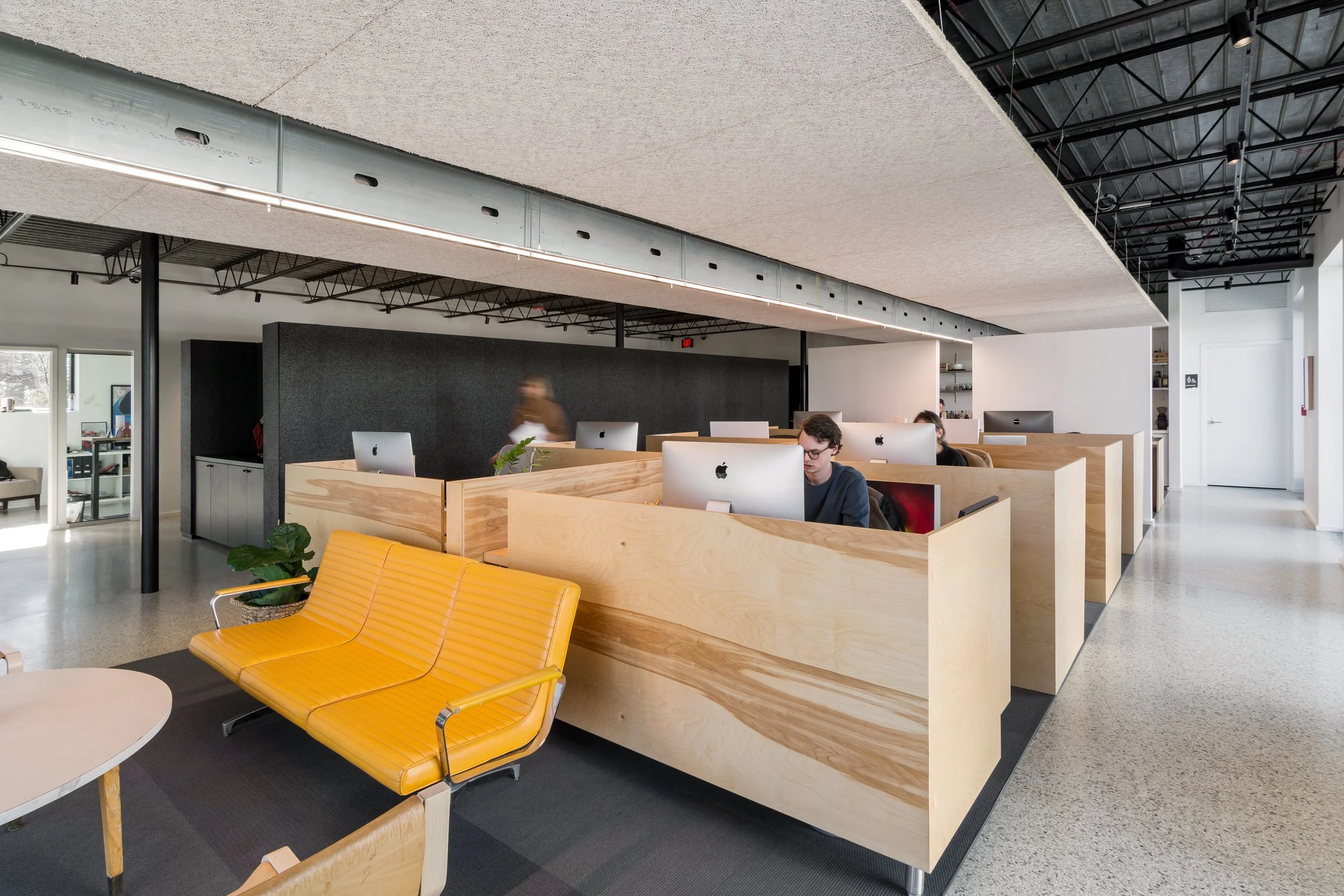 Loaded for Bear-4.jpg