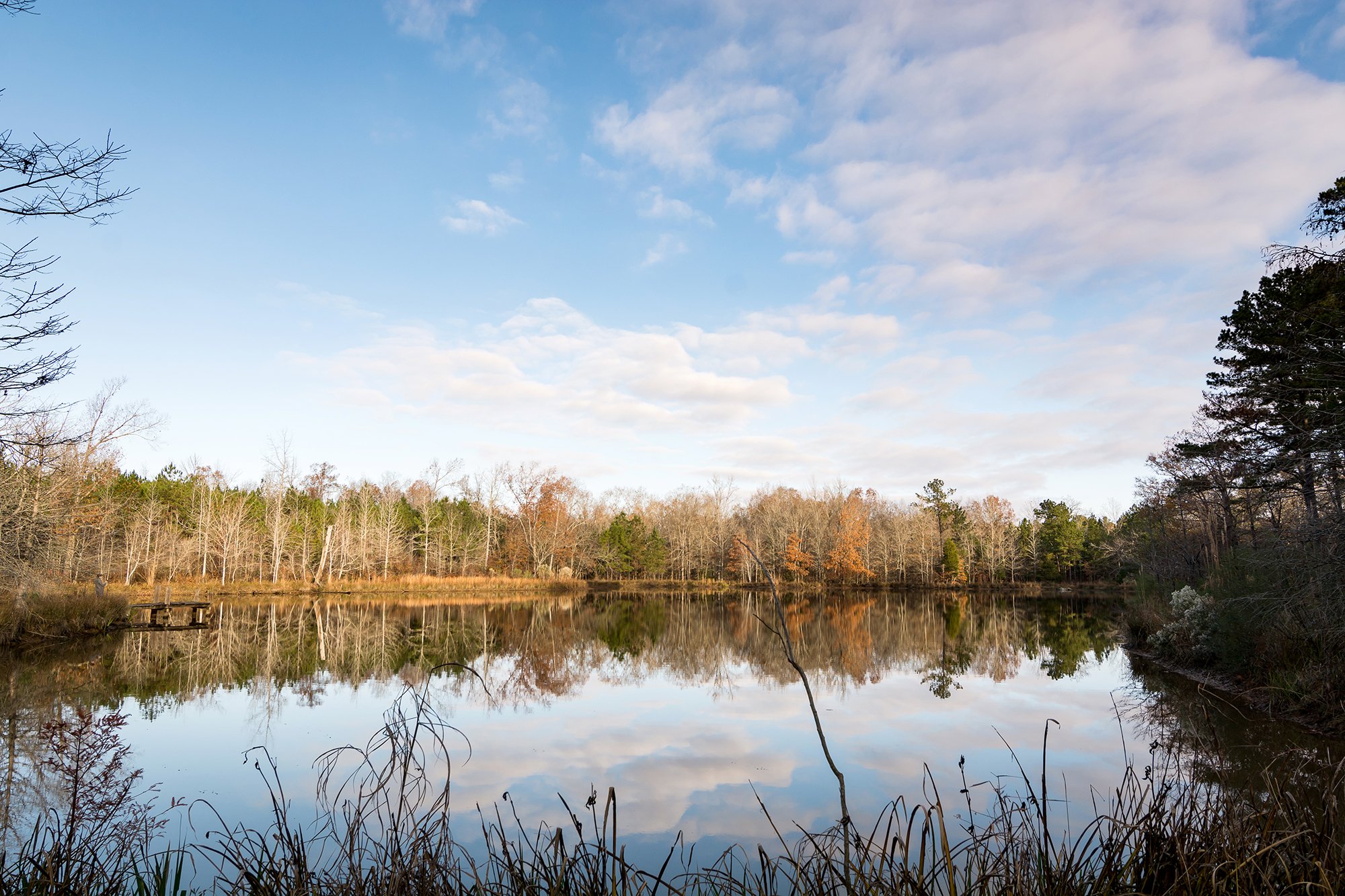 Nash Tiny house-16.jpg