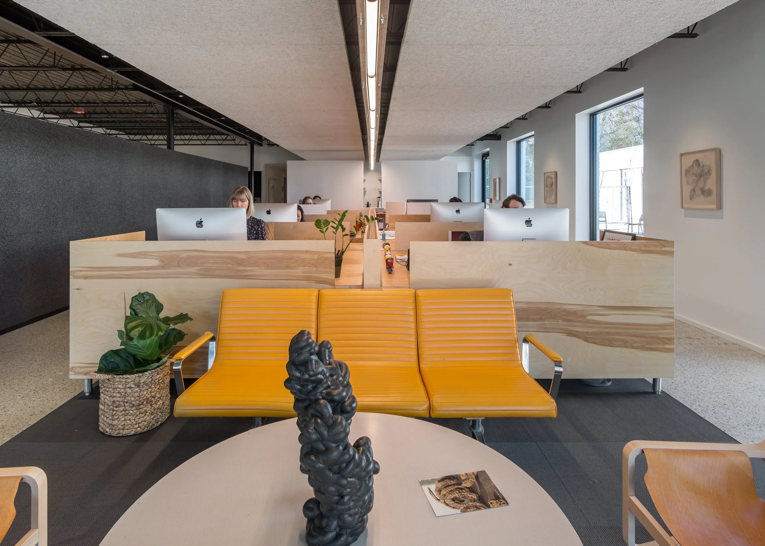 Loaded for Bear-2.jpg