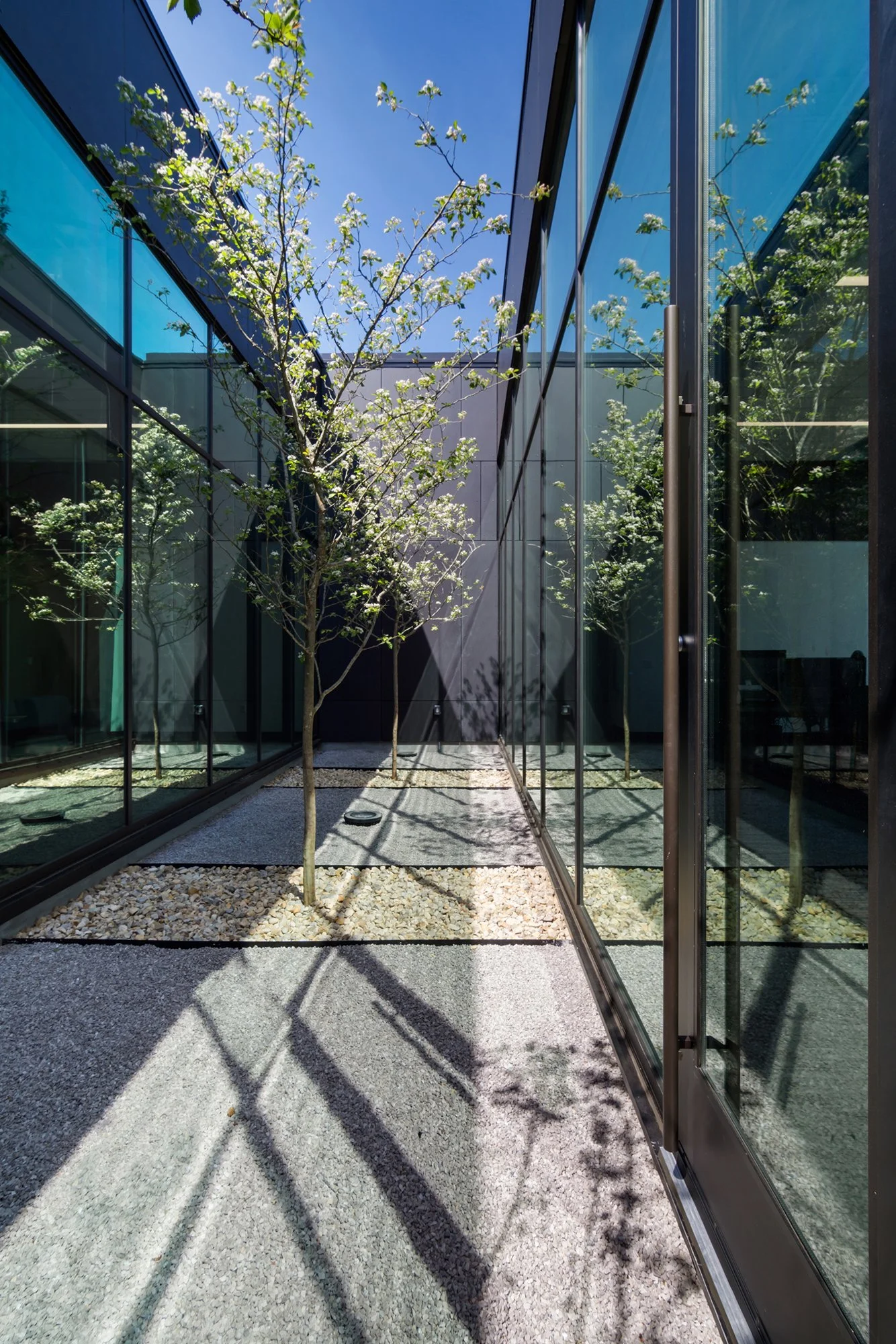 Tabor Bartlett-18.jpg