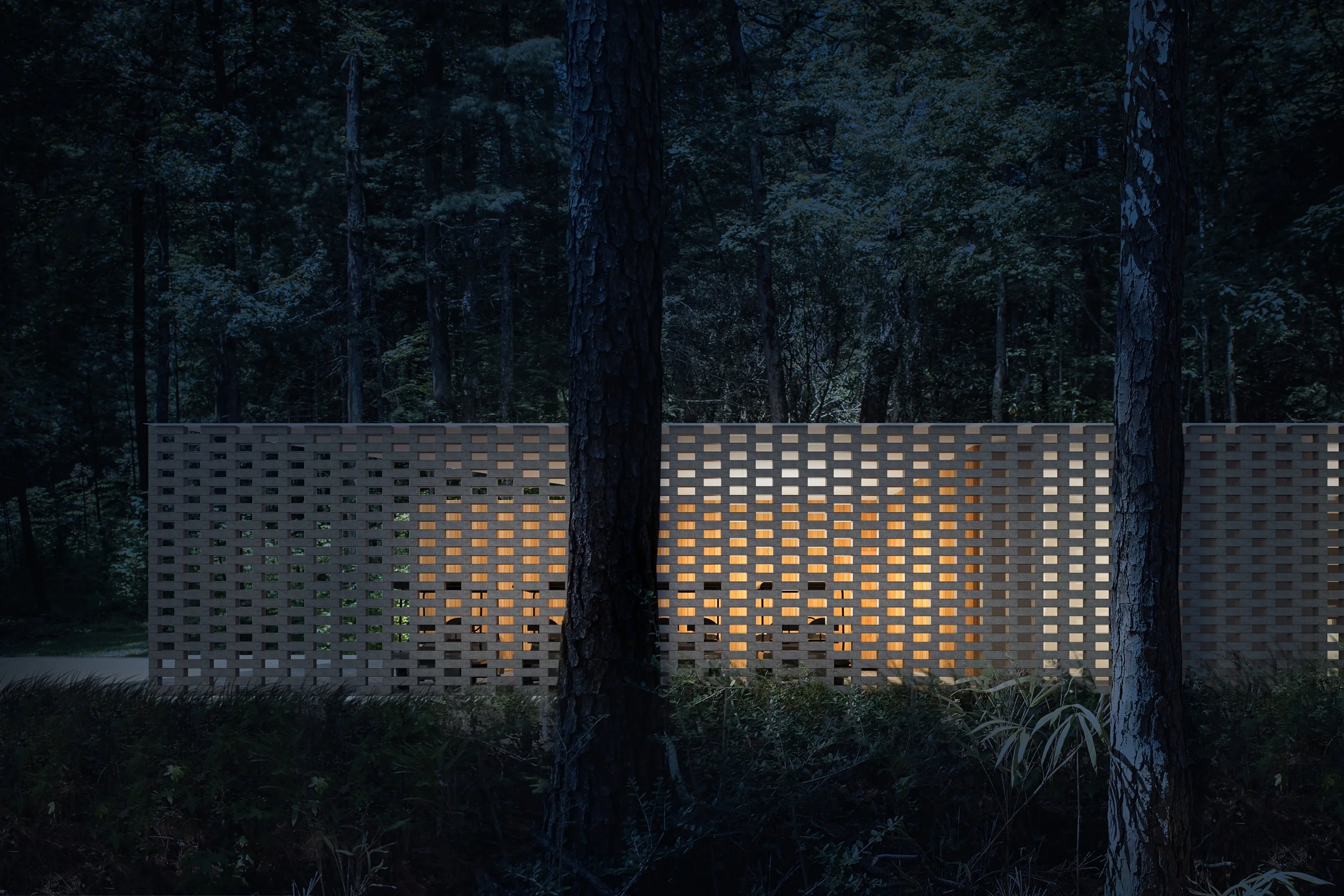 Caldwell View 3_night.jpg