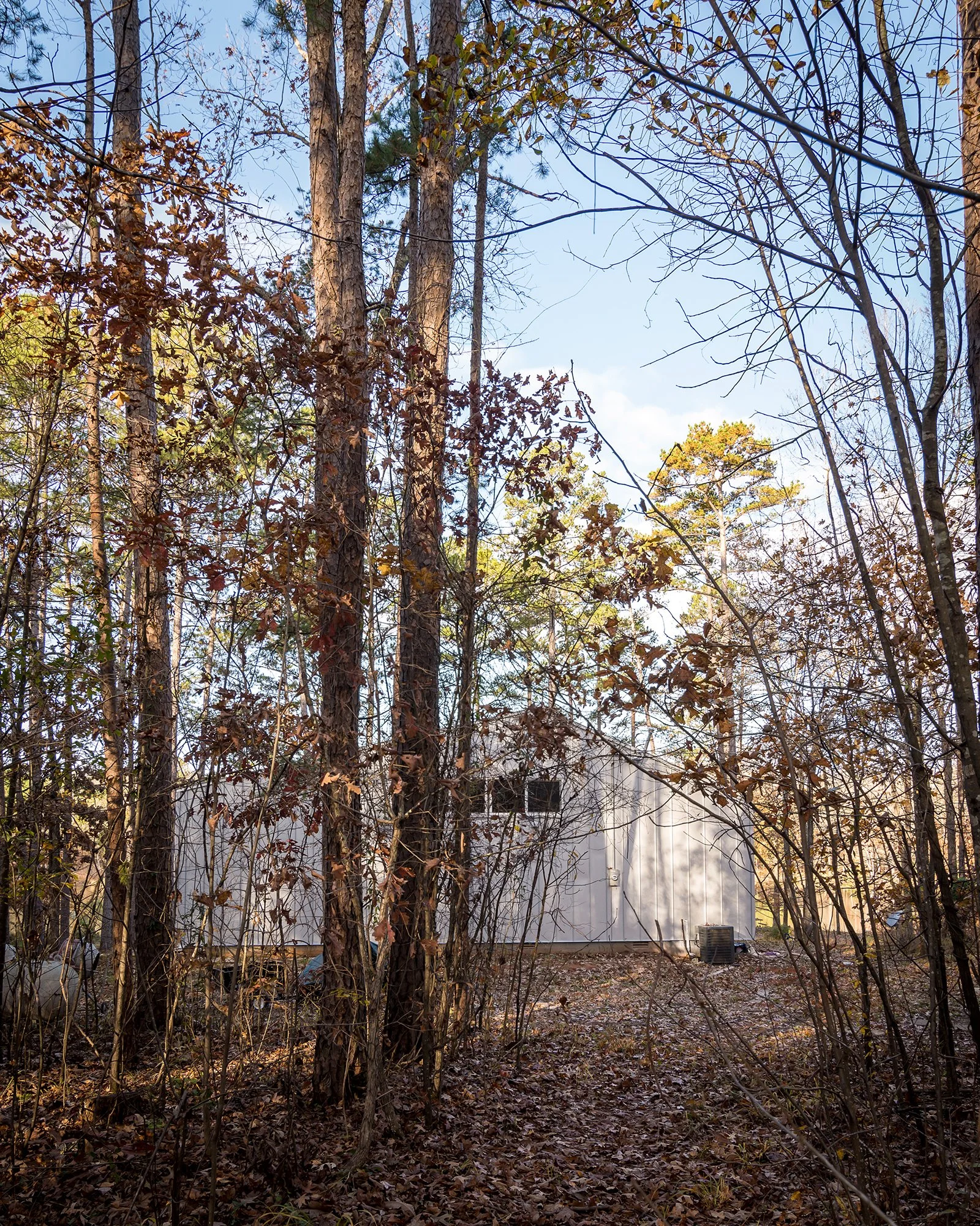 Nash Tiny house-6.jpg