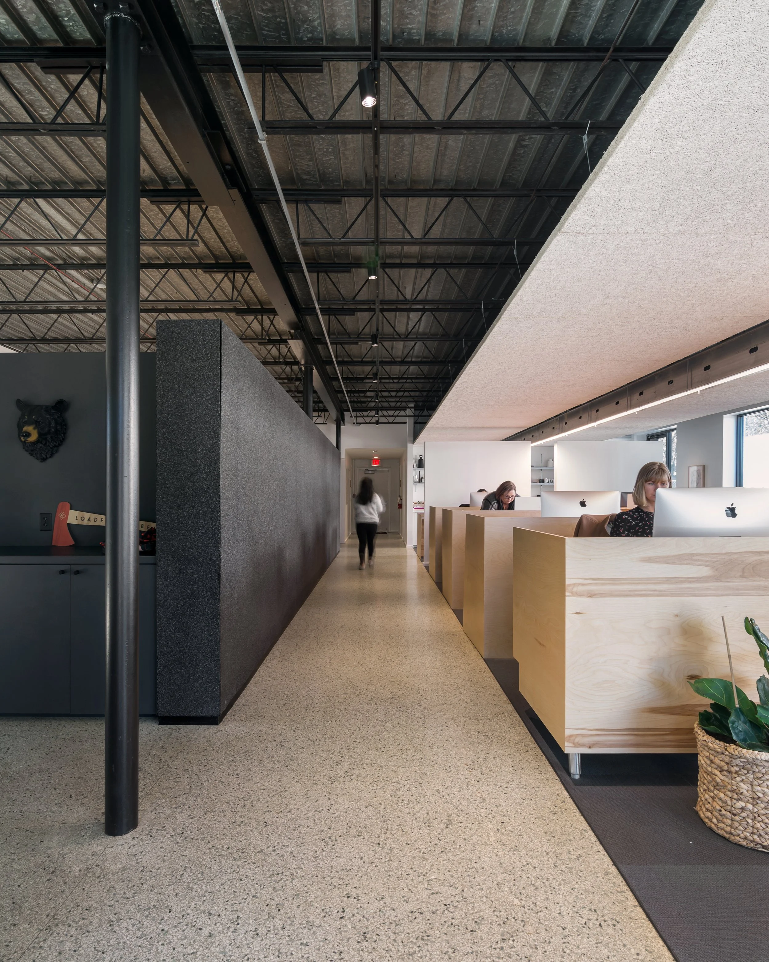 Loaded for Bear-5.jpg