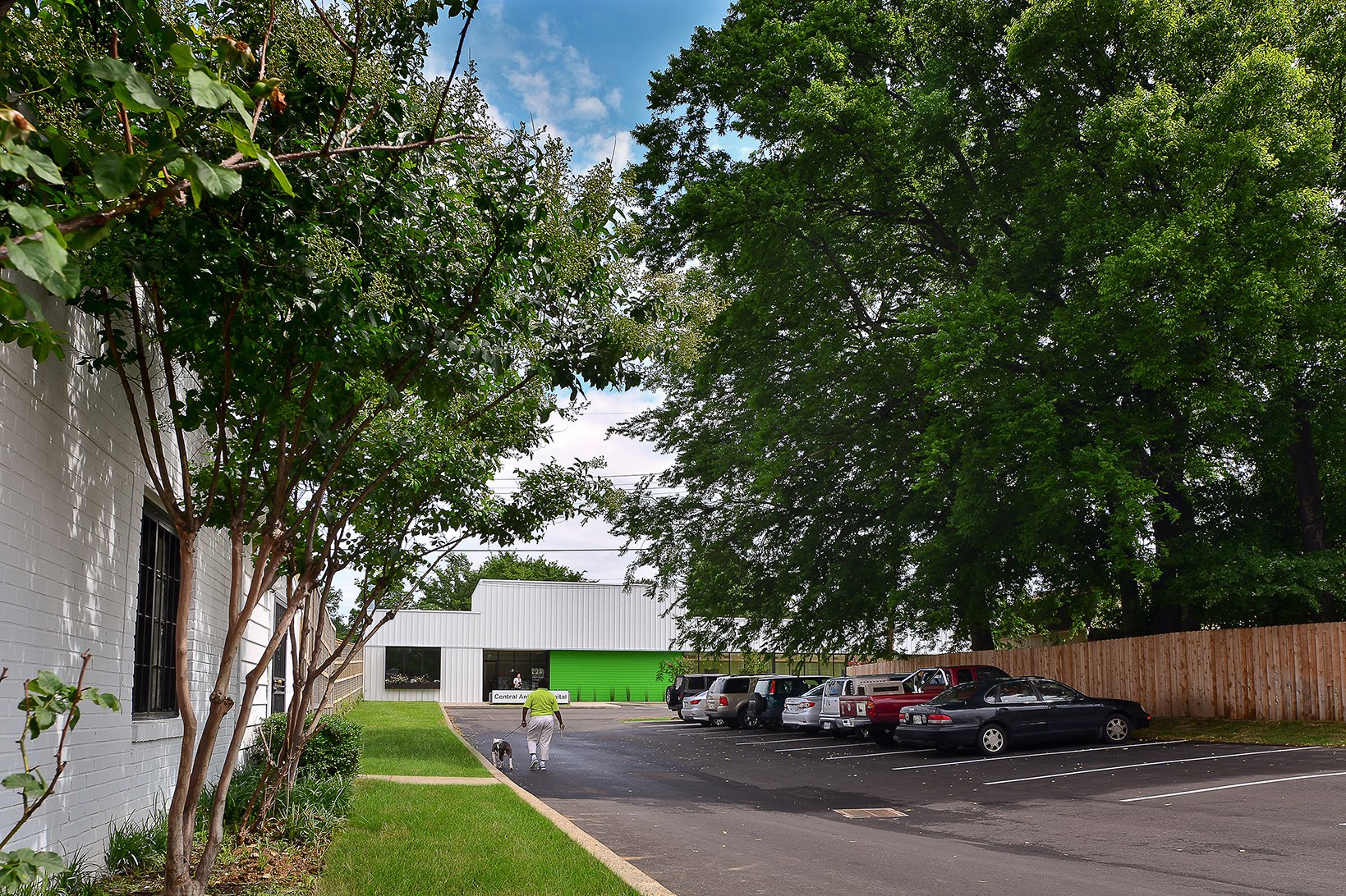 Central Animal Hospital