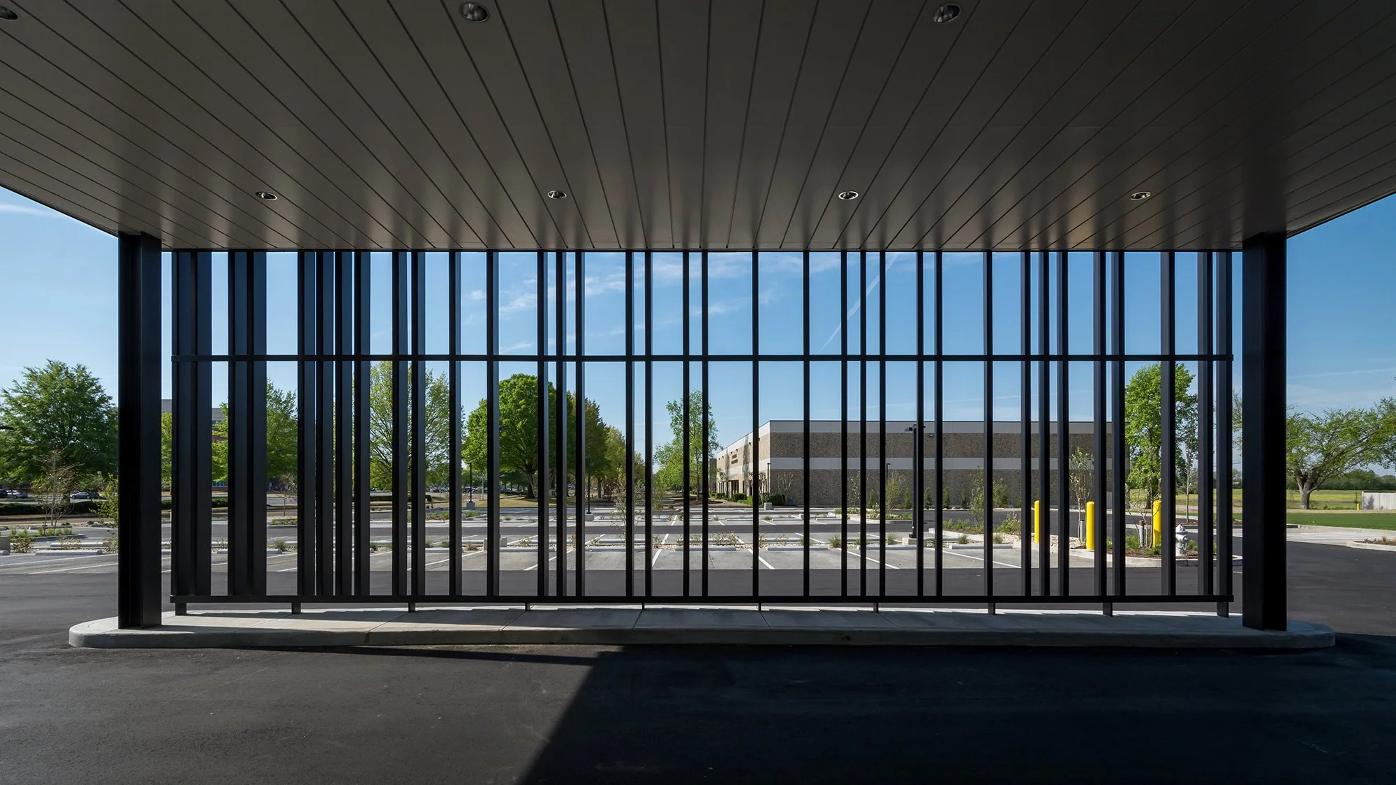 Tabor Bartlett-5.jpg