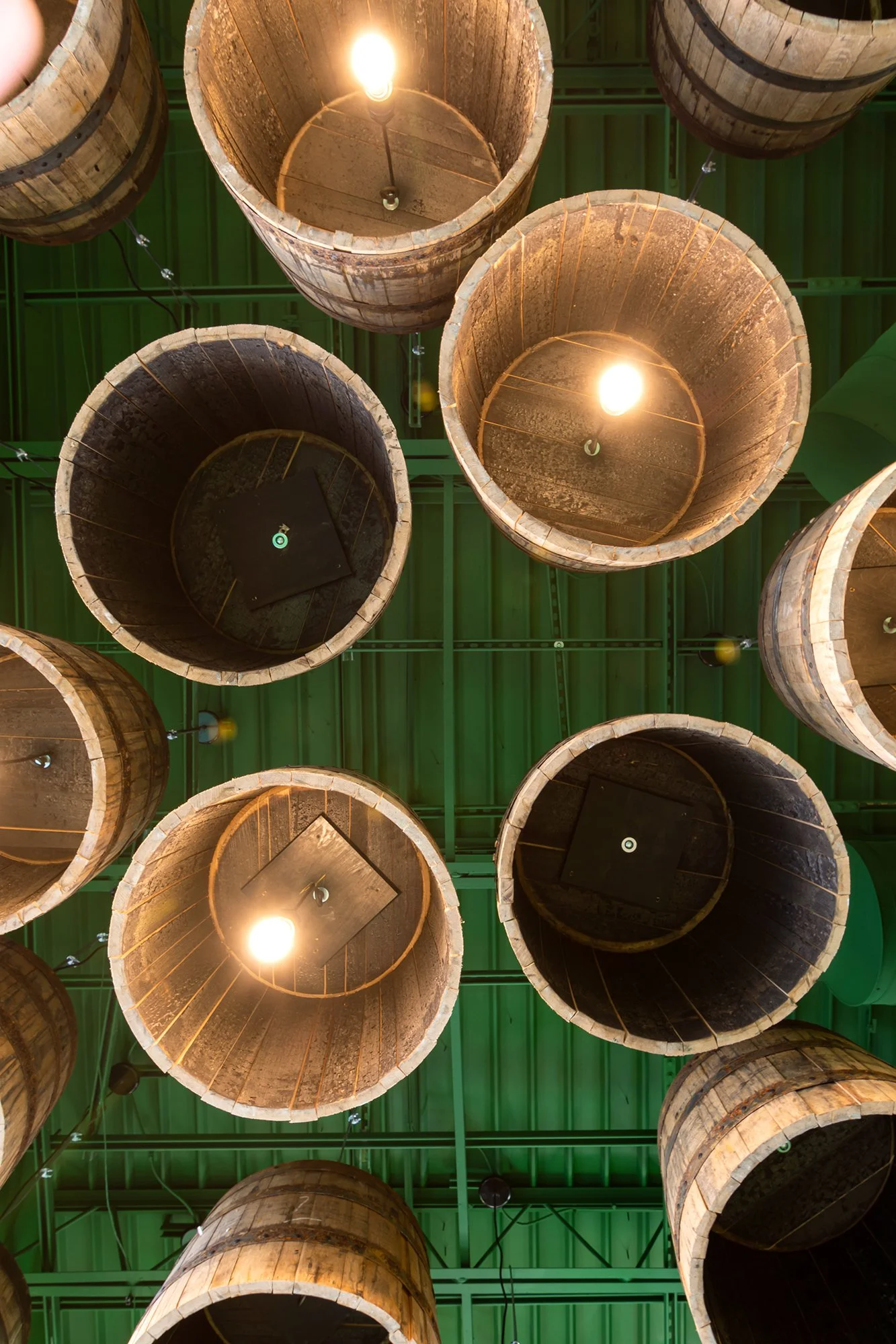 Belly Acres_Regalia_15.jpg