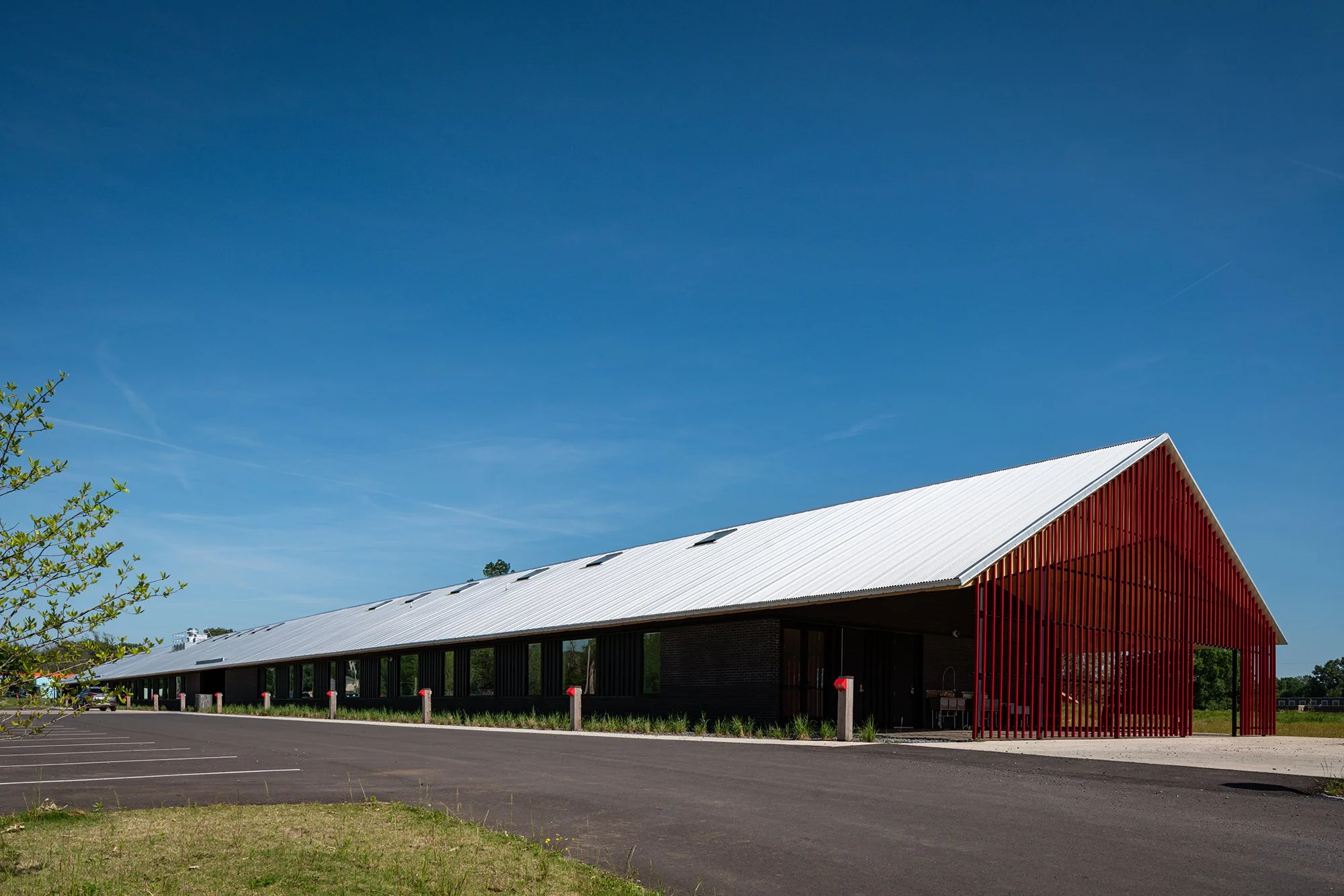 Girls _Frayser Farm-5.jpg