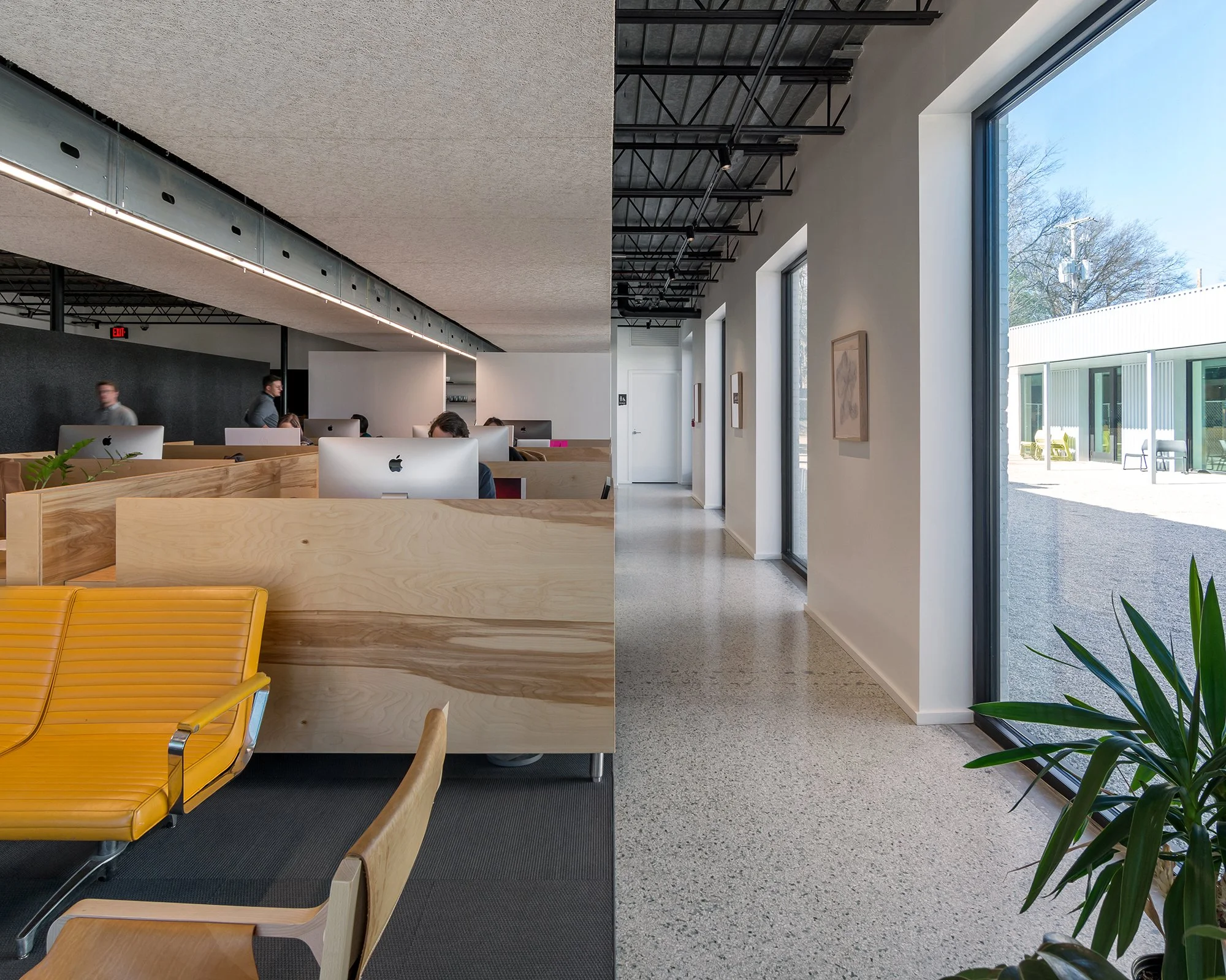 Loaded for Bear-3.jpg